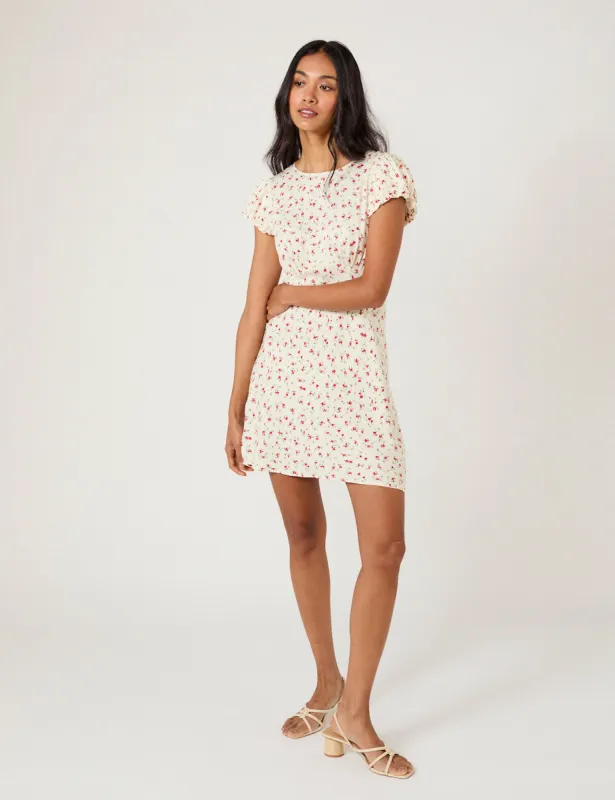 Cream Floral Maggie Mini Dress sold by Nobody's Child