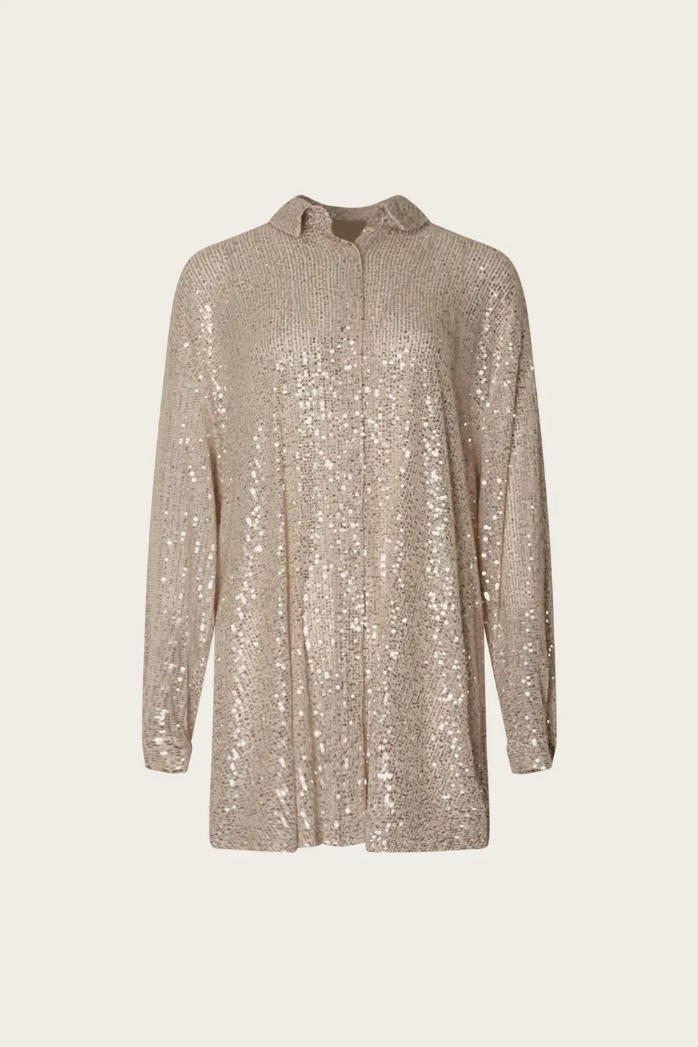 Lizanne Shirt Silver sold by Noella Fashion