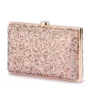 ASHA Hotfix Clutch sold by Olga Berg