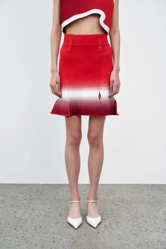 ASTER GRADIENT PRINT CARWASH SKIRT sold by PH5