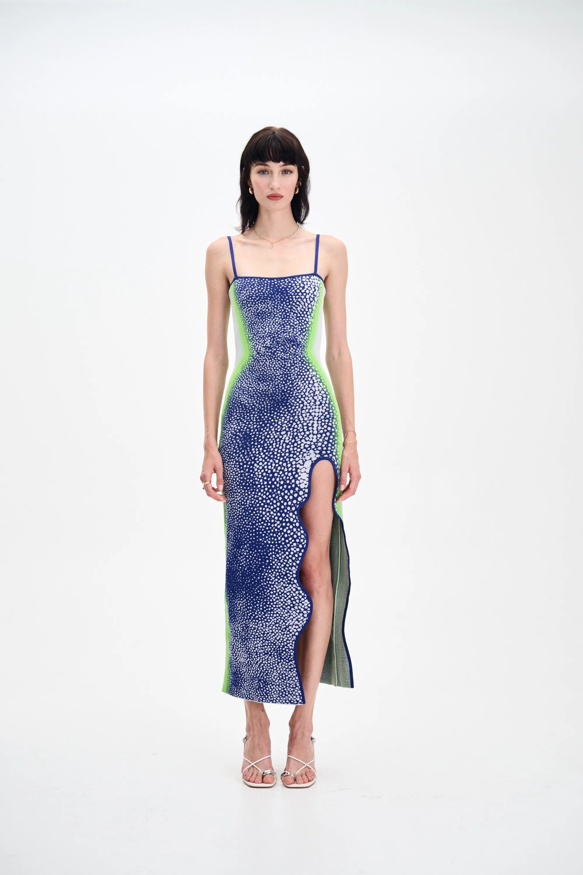 HEATHER MAXI TANK DRESS sold by PH5 product image thumbnail 2