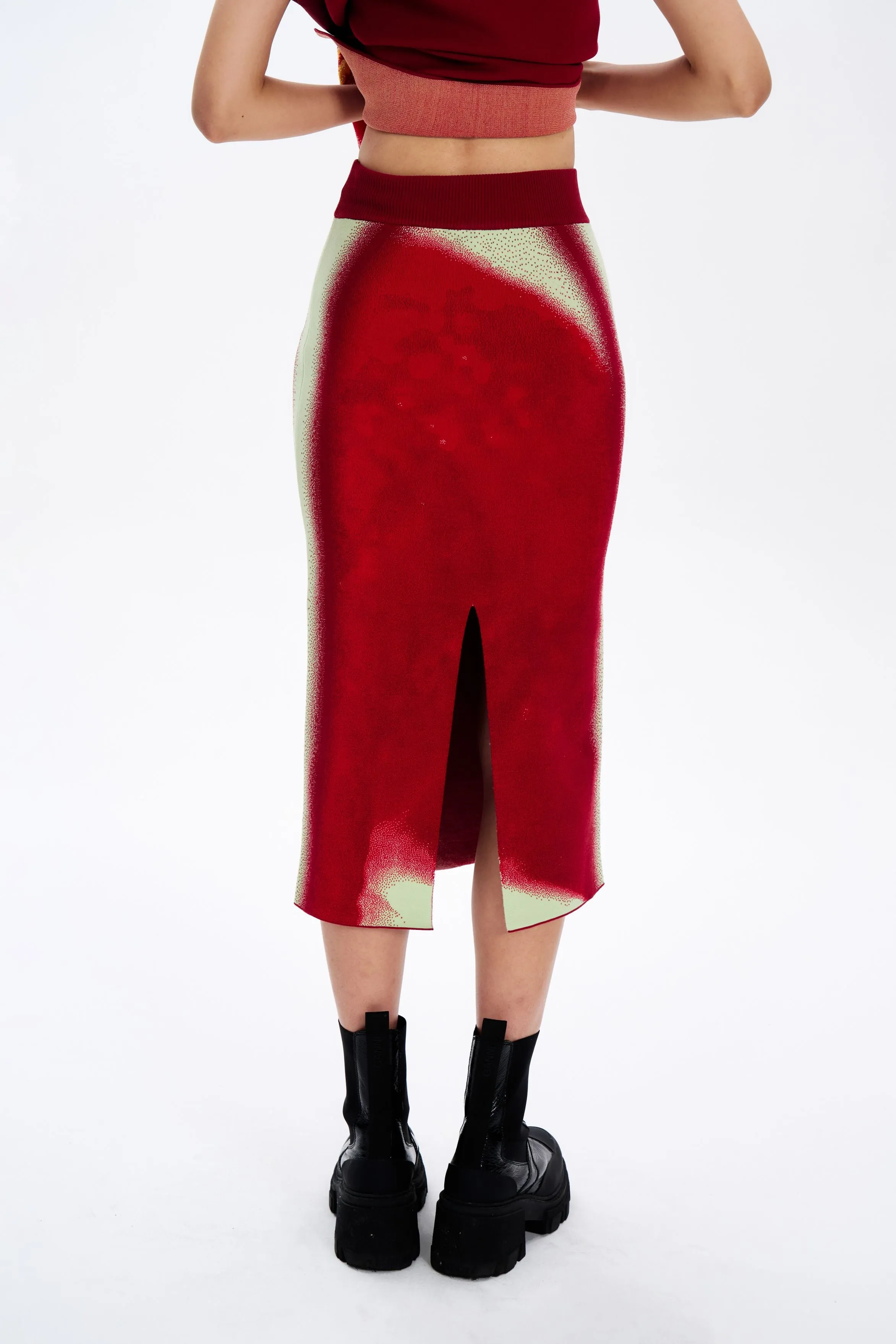 SOPHIE CHERRY PRINT MIDI SKIRT sold by PH5 product image thumbnail 4