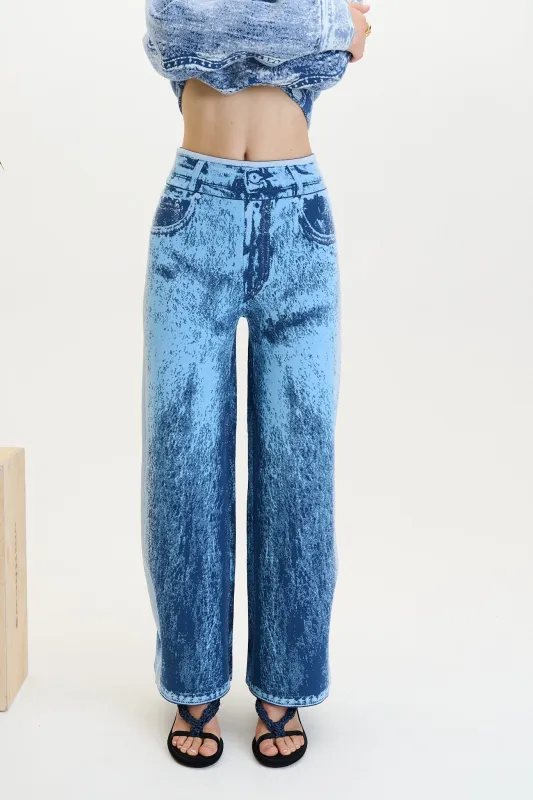 ZAHRA WIDE LEG PANTS made by PH5