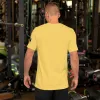 SpongeBob Squarepants Smug Face Unisex T-Shirt sold by Paramount Shop