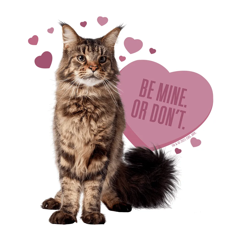 Star Trek: Discovery Grudge Be Mine Women's Short Sleeve T-Shirt sold by Paramount Shop product image thumbnail 2