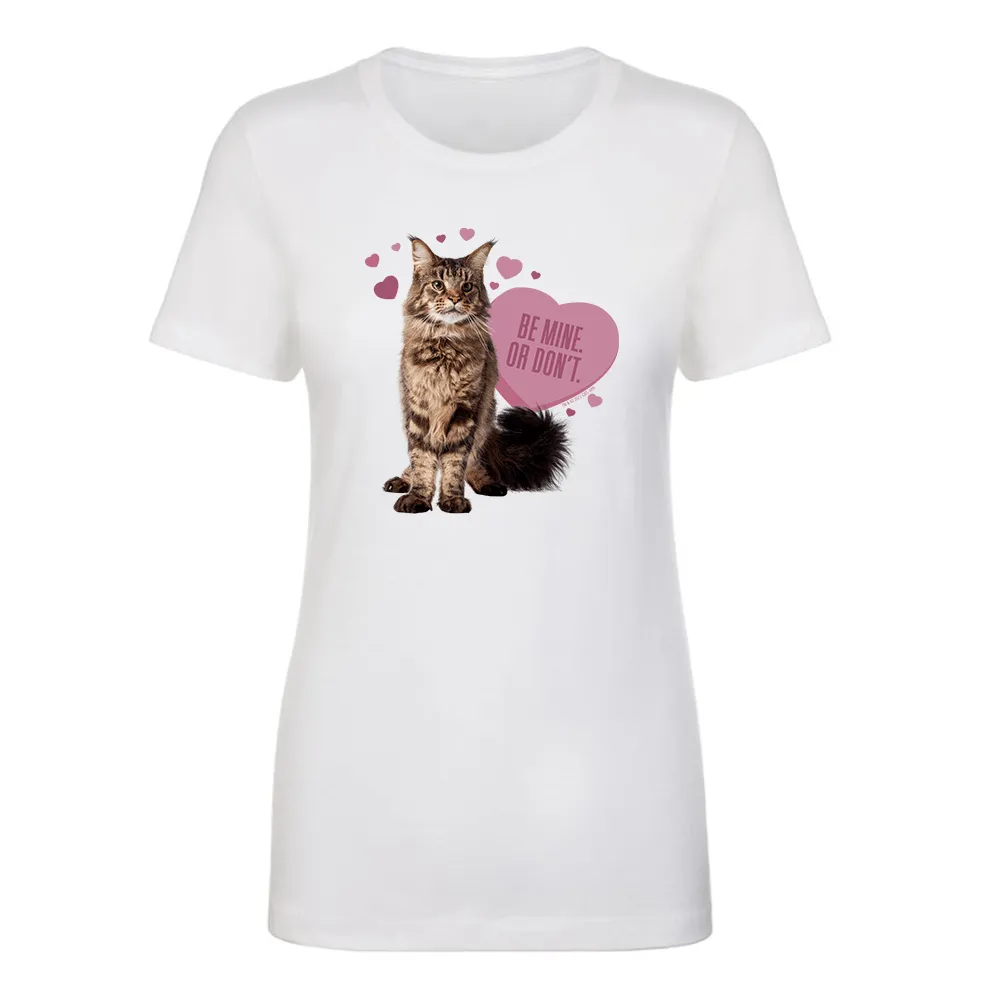 Star Trek: Discovery Grudge Be Mine Women's Short Sleeve T-Shirt sold by Paramount Shop product image thumbnail 3