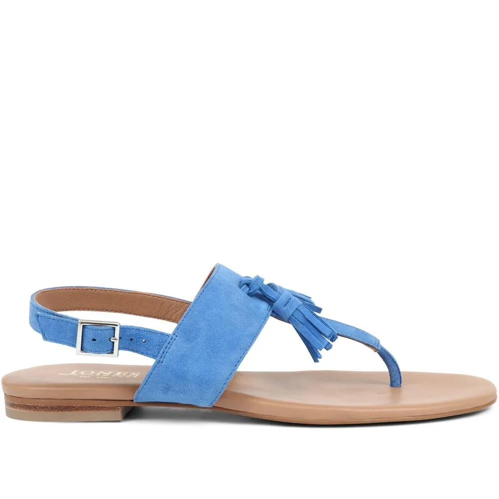 Lizabeth Leather Thong Sandals - LIZABETH / 323 350 sold by Shoe-Shop product image thumbnail 3