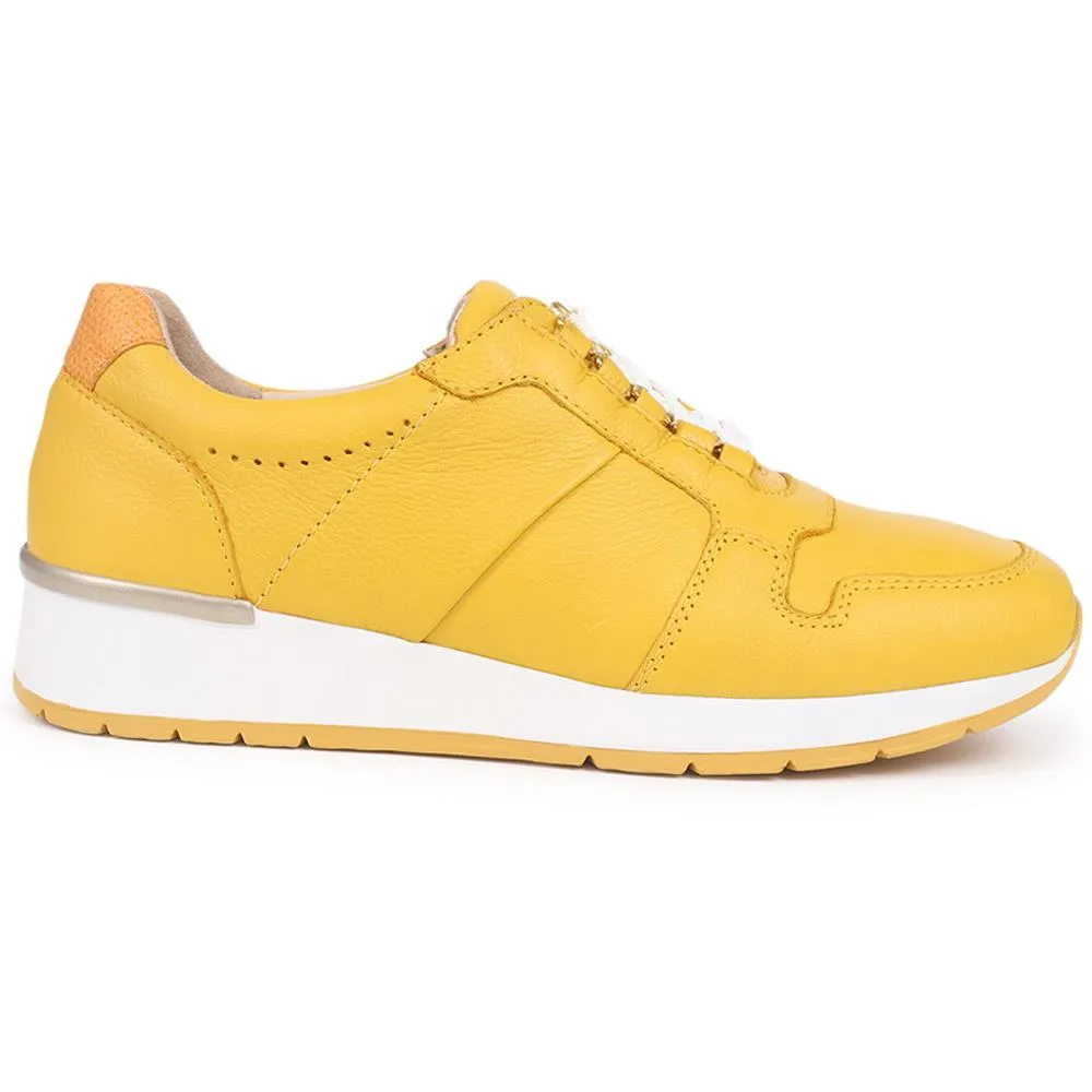 Leather Lace-Up Trainers - VAN37509 / 323 786 sold by Shoe-Shop product image thumbnail 3