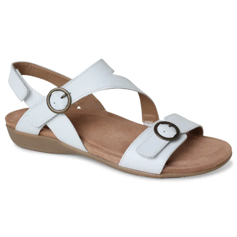 BECK sold by Planet Shoes