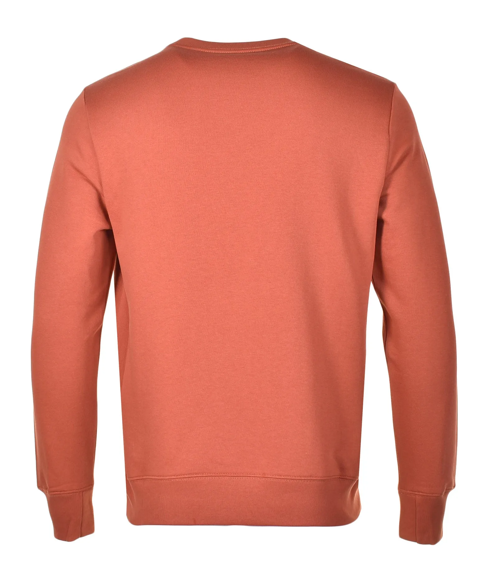 Zebra Crew Sweatshirt Dark Rust sold by RAGAZZI product image thumbnail 2