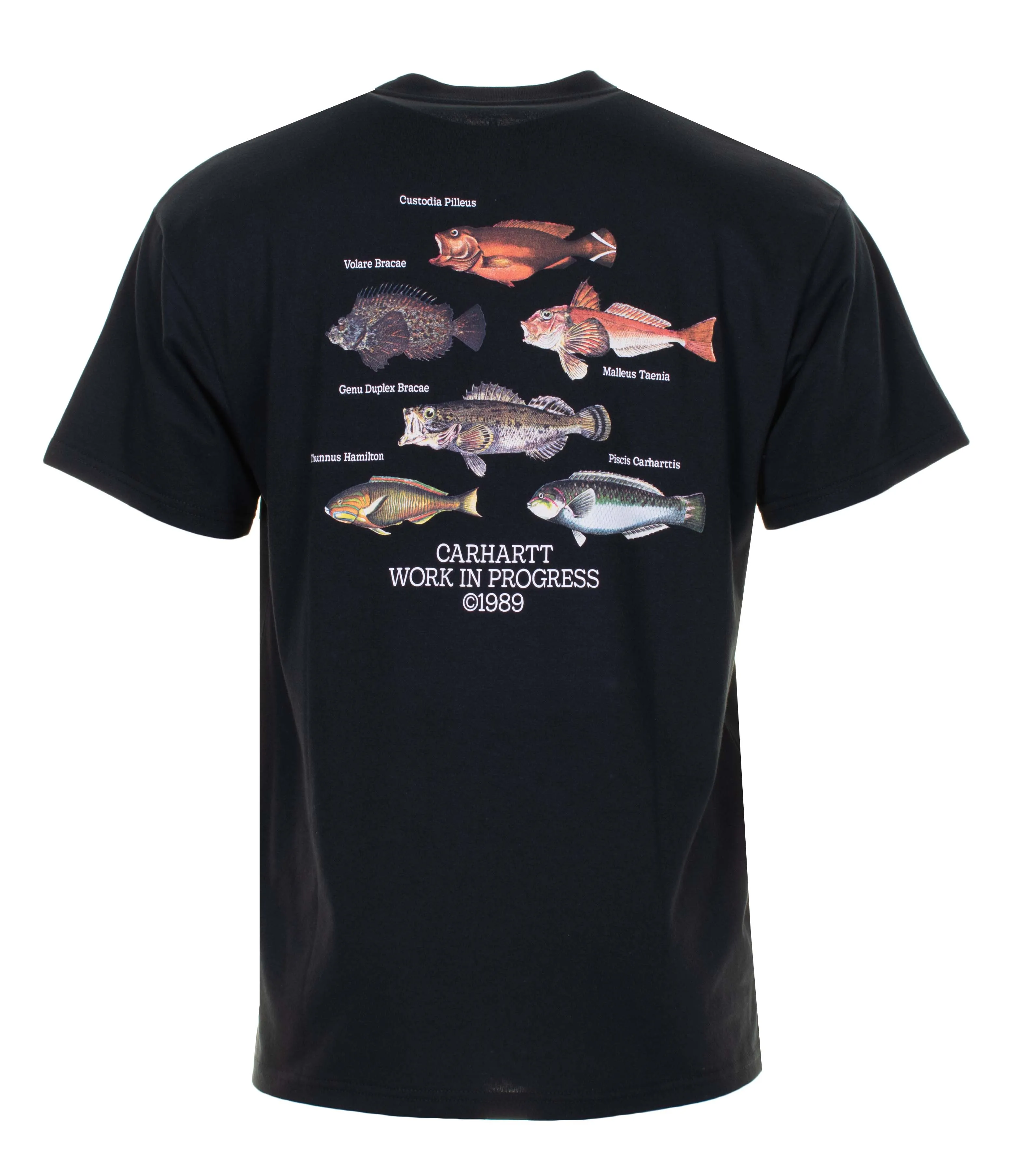 Short Sleeve Fish T Shirt Black sold by RAGAZZI product image thumbnail 2