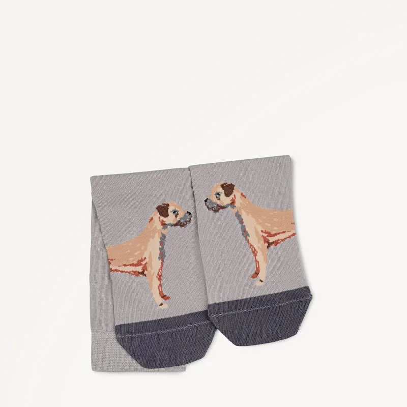 Radley & Friends Fabric 1 Pk Sock in Ash - 112481 sold by Radley