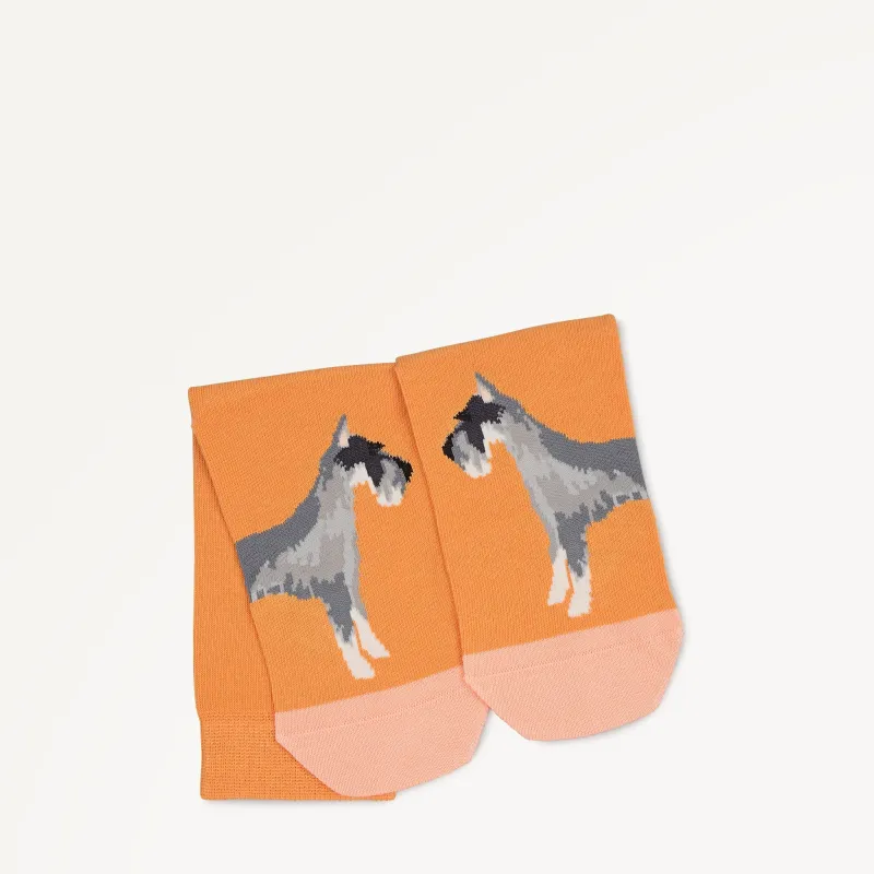 Radley & Friends Fabric 1 Pk Sock in Sundial - 112479 sold by Radley