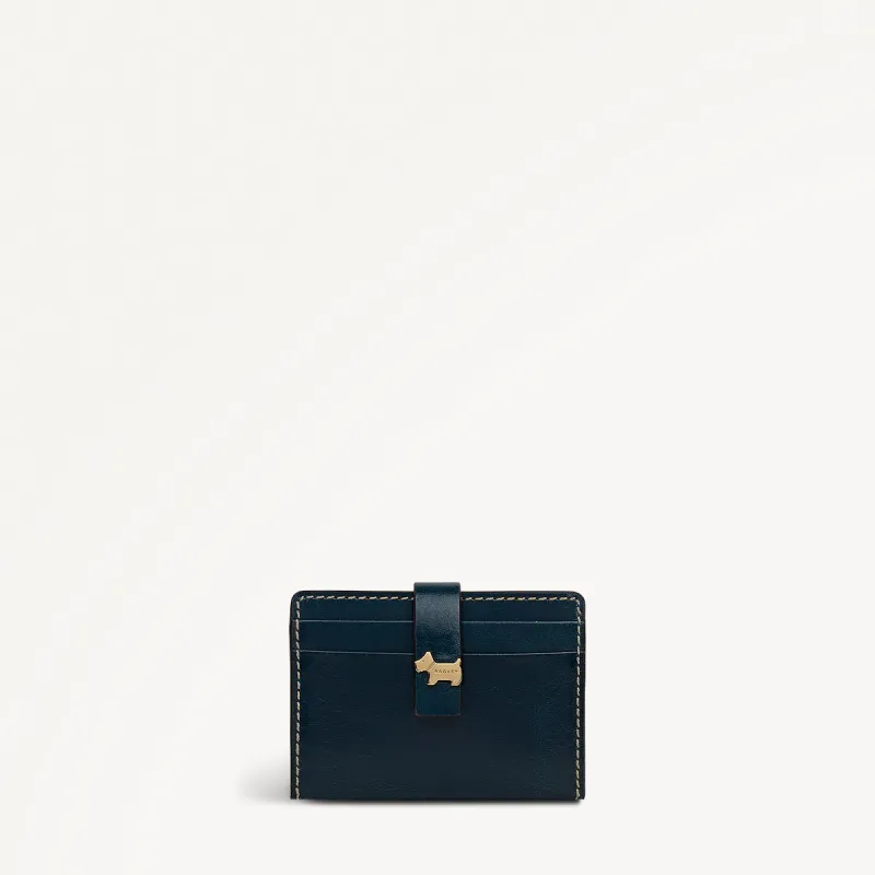 Newick Road Leather Small Card Holder in Teal - 112440 sold by Radley