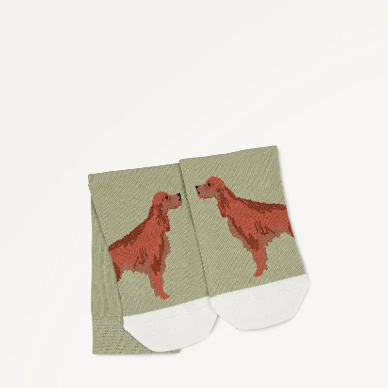 Radley & Friends Fabric 1 Pk Sock in Hosta - 112477 sold by Radley