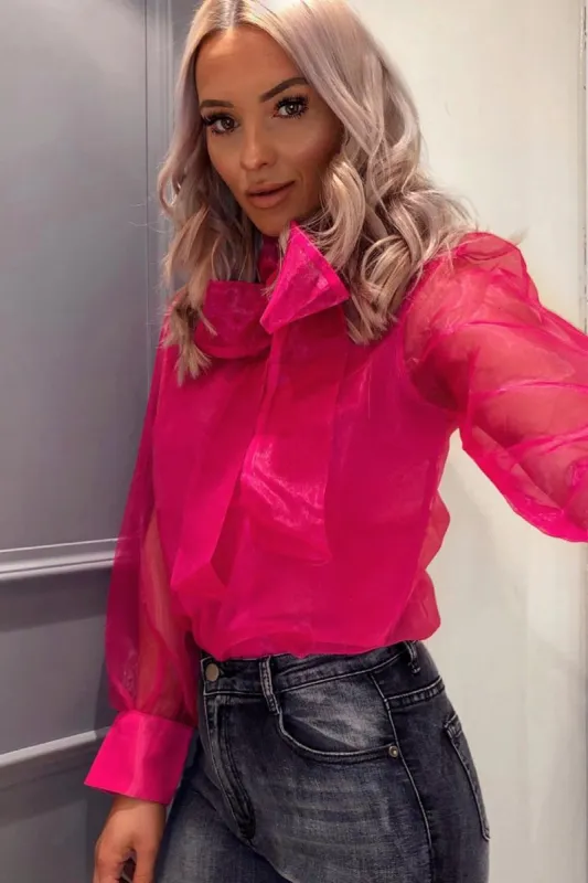 Pink Mesh Balloon Sleeve Blouse - Elvina sold by Rebellious Fashion