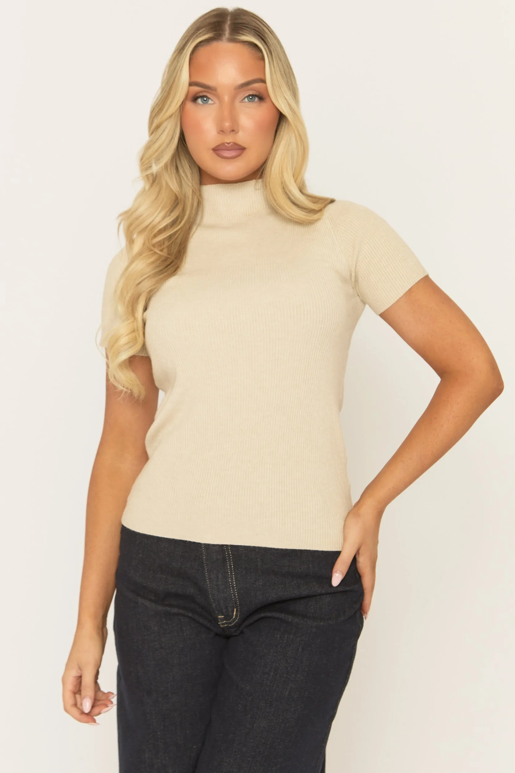 Beige Fine Knit High Neck Top - Jayca sold by Rebellious Fashion