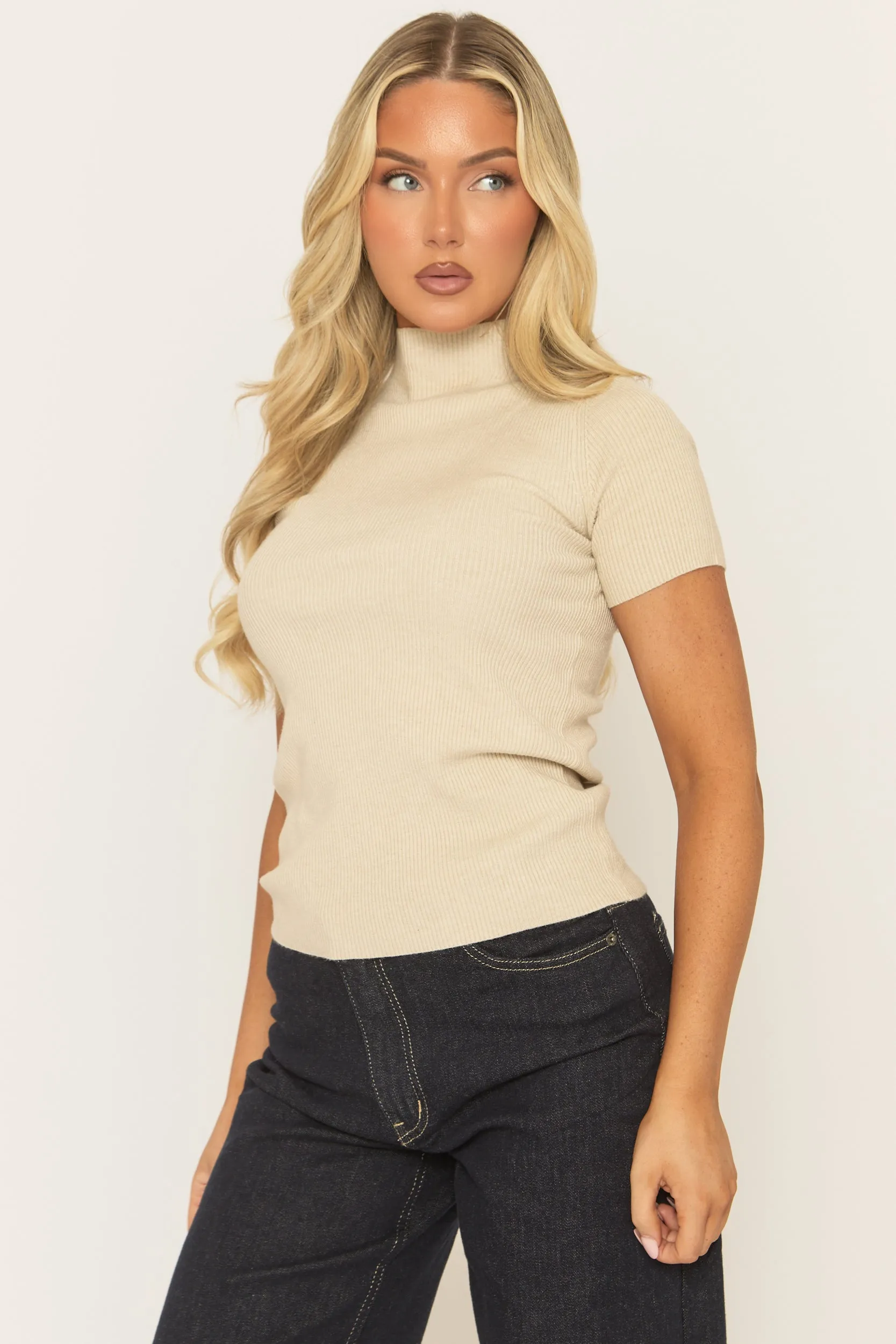 Beige Fine Knit High Neck Top - Jayca sold by Rebellious Fashion product image thumbnail 3