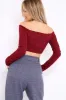 Wine Ribbed Lace Up Front Crop Top - Emmy sold by Rebellious Fashion