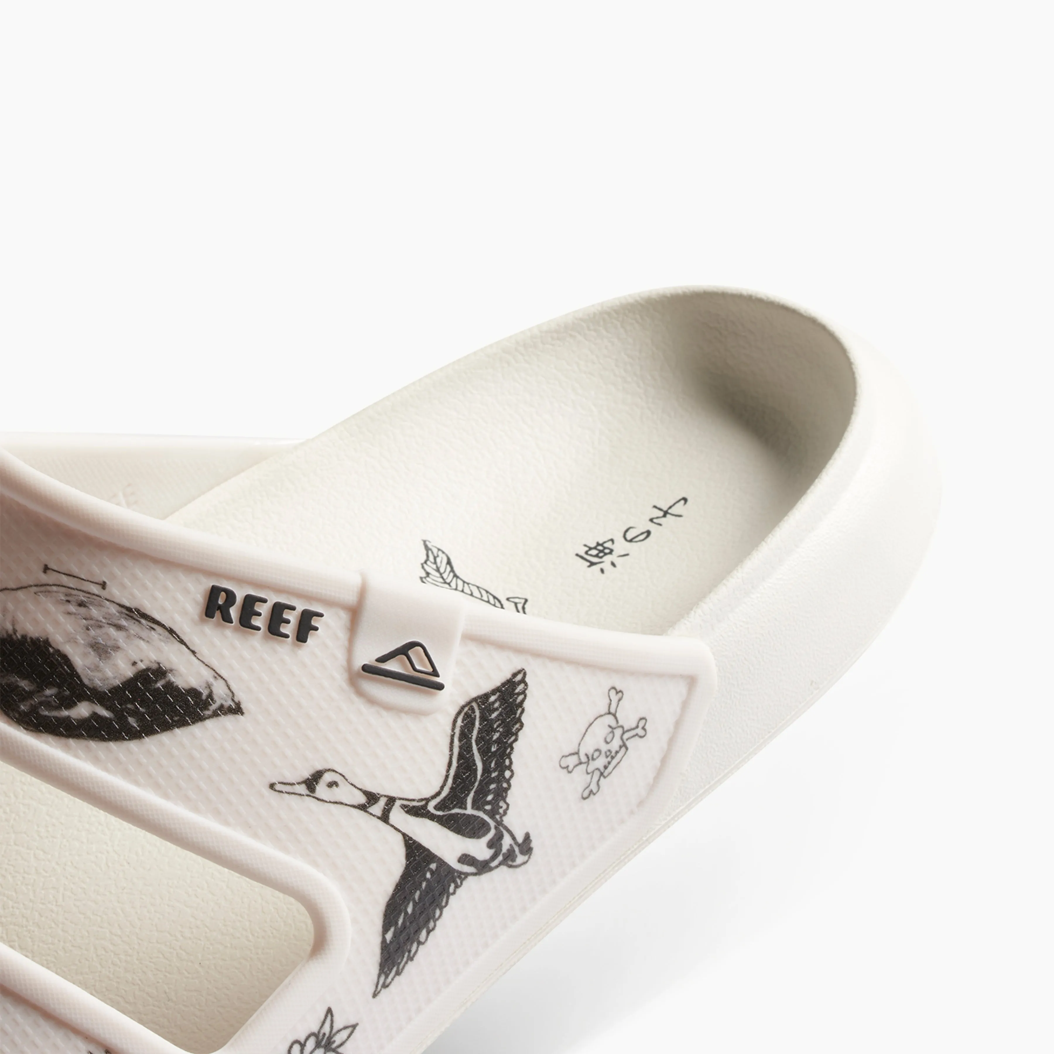 Oasis X Pride sold by Reef Dynamic product image thumbnail 5