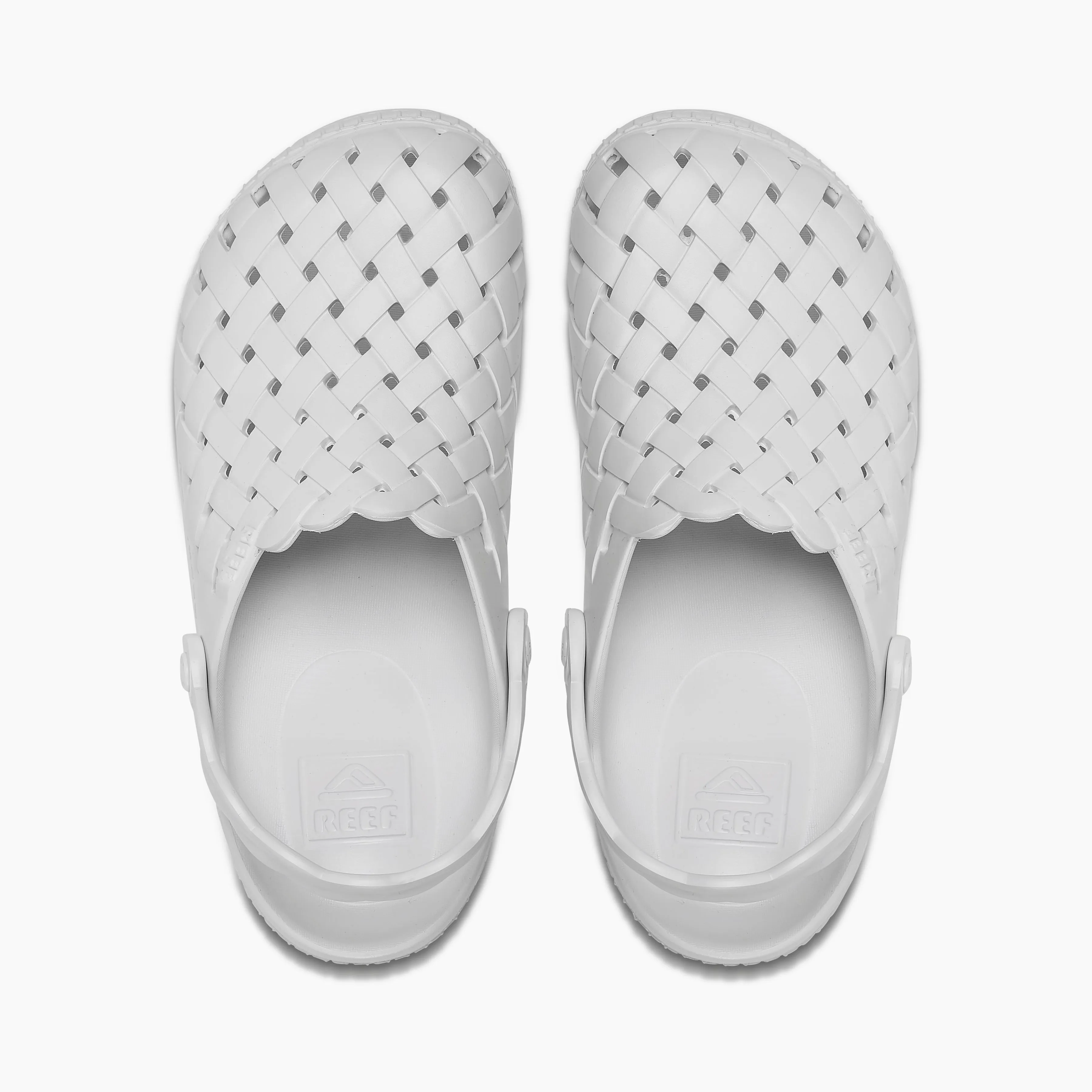 Water Sage sold by Reef Dynamic product image thumbnail 5