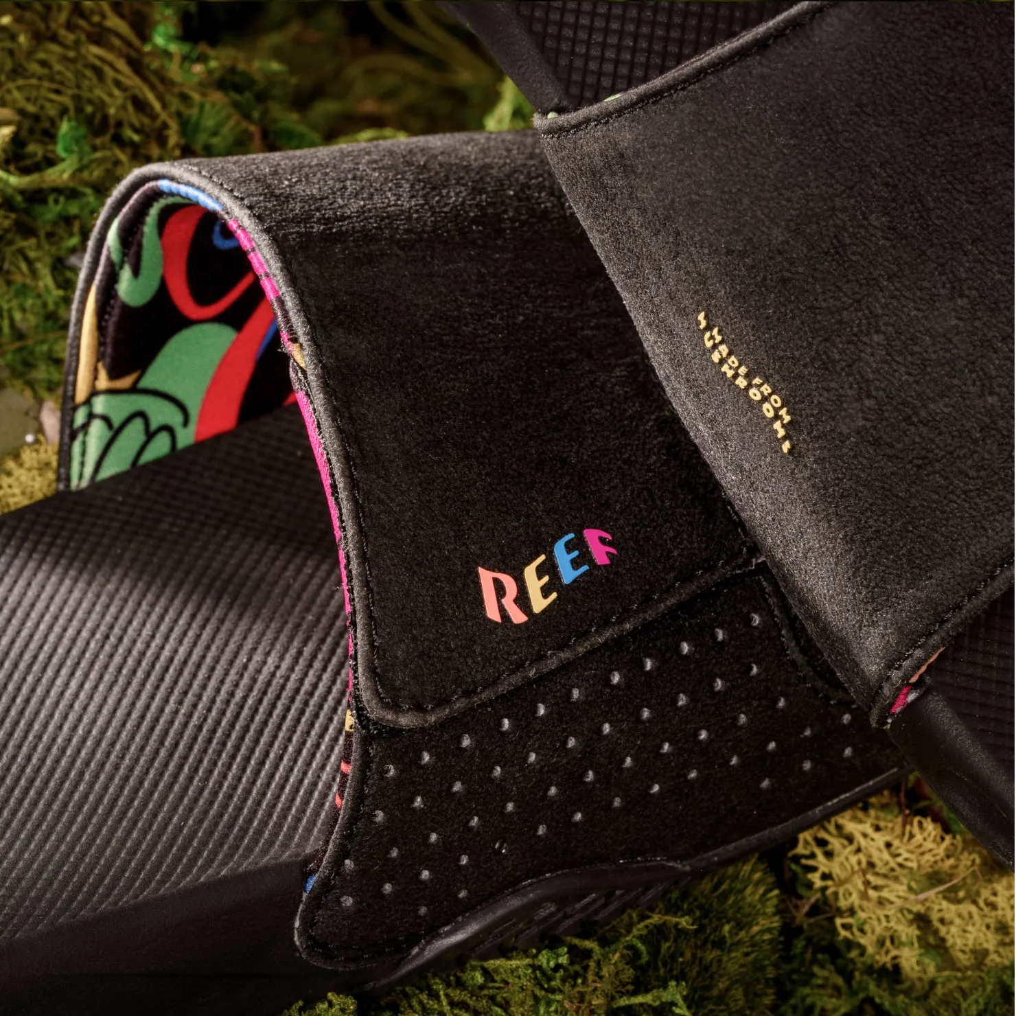 Fanning Slide sold by Reef Dynamic product image thumbnail 4