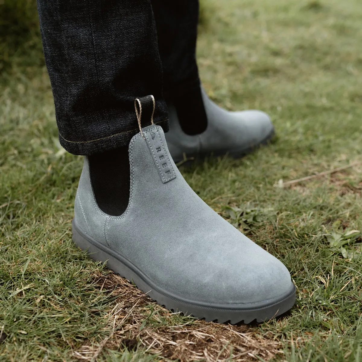 Otis sold by Reef Dynamic product image thumbnail 2