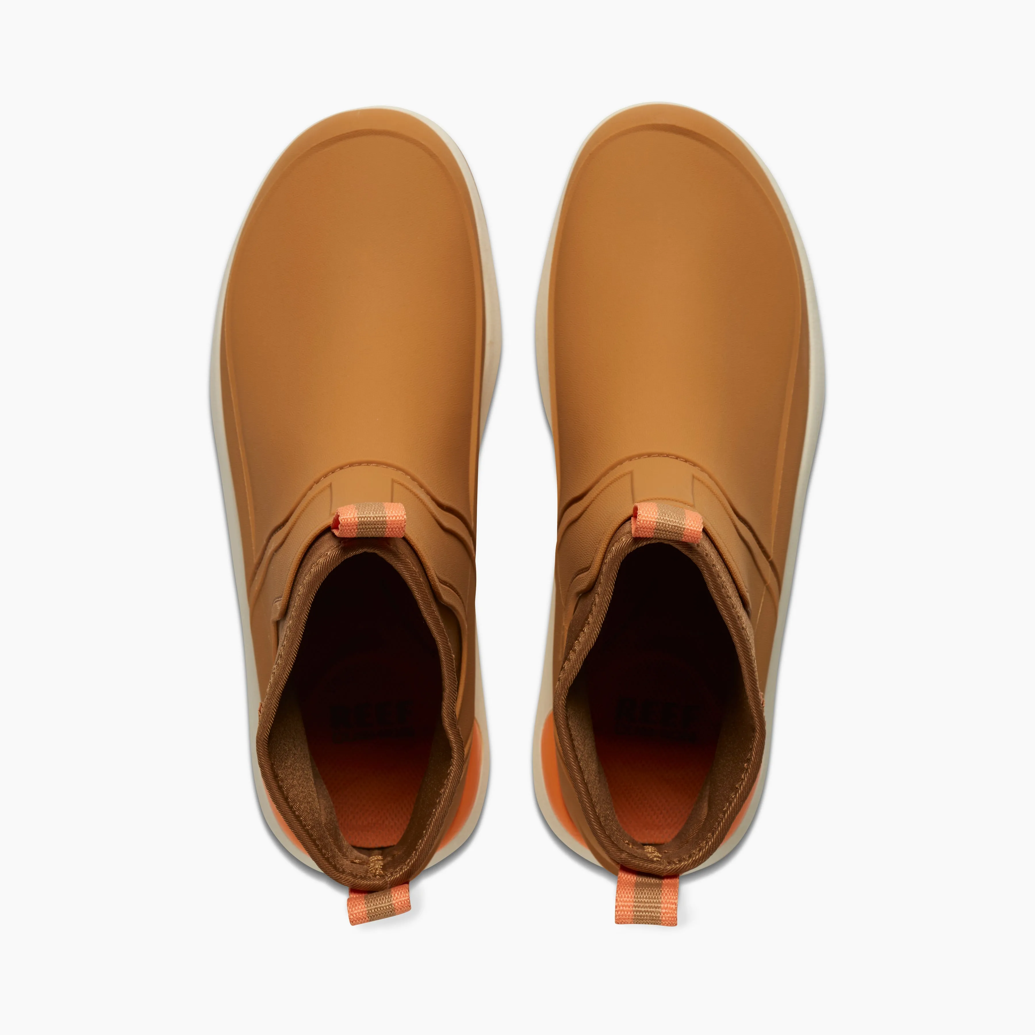 Swellsole Scallywag sold by Reef Dynamic product image thumbnail 3