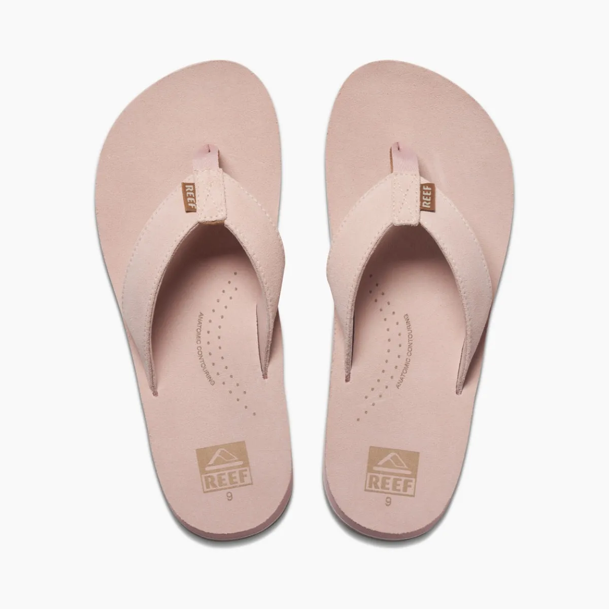 Reef Drift Classic sold by Reef Dynamic product image thumbnail 3