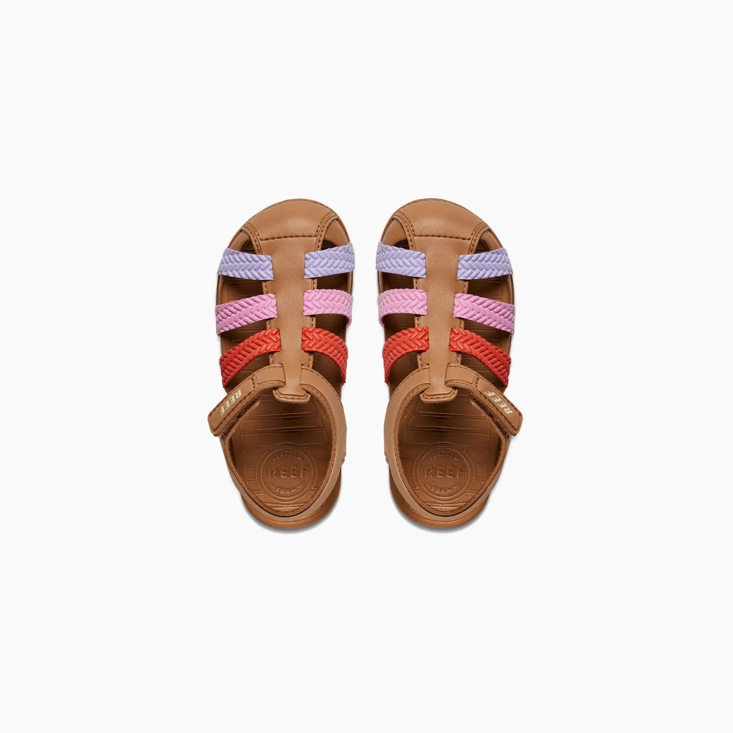 Little Water Beachy sold by Reef Dynamic