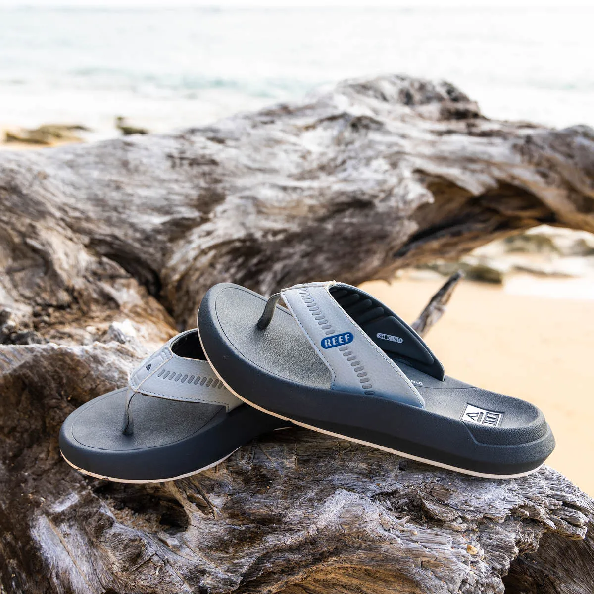 Swellsole Cruiser sold by Reef Dynamic product image thumbnail 4