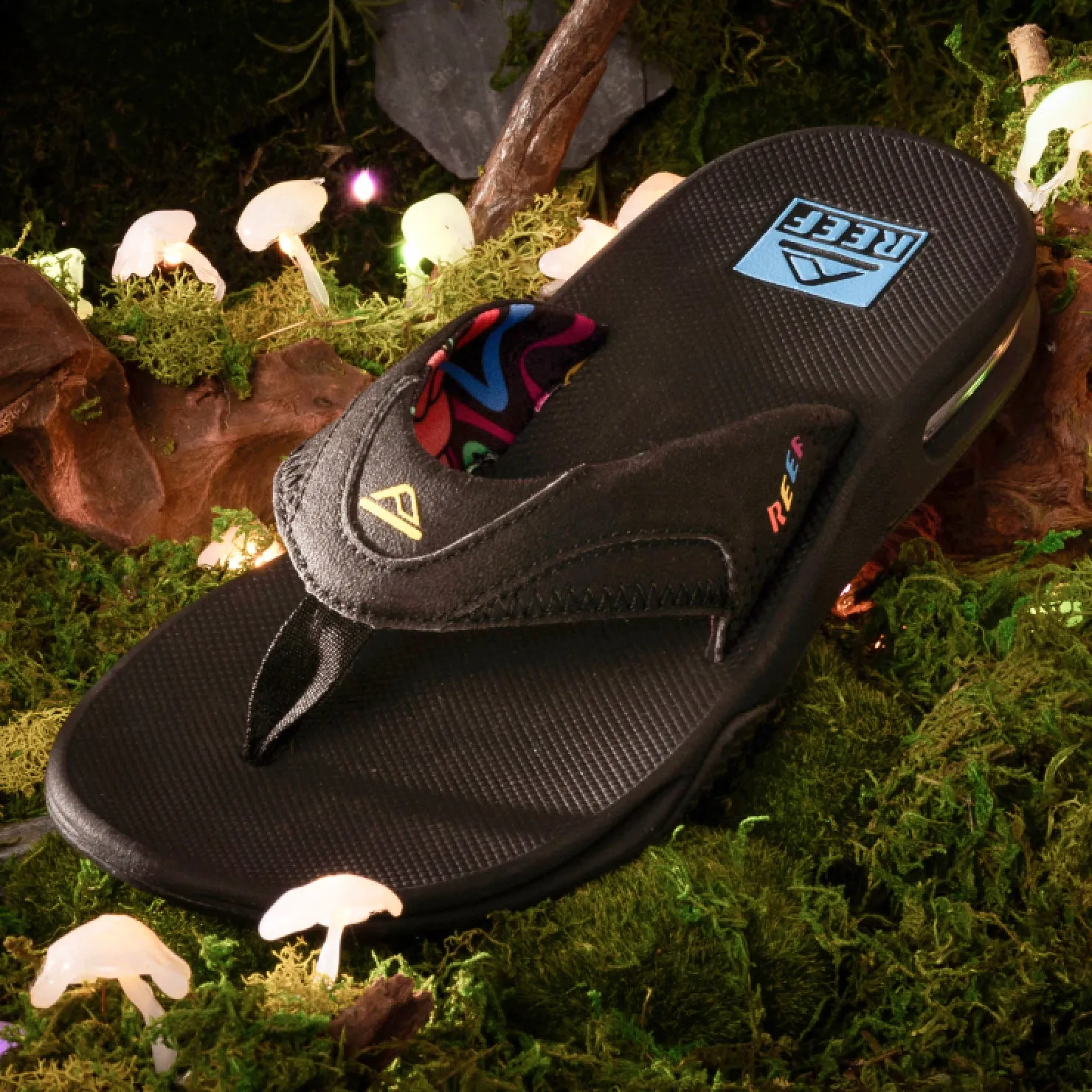 Fanning sold by Reef Dynamic product image thumbnail 2