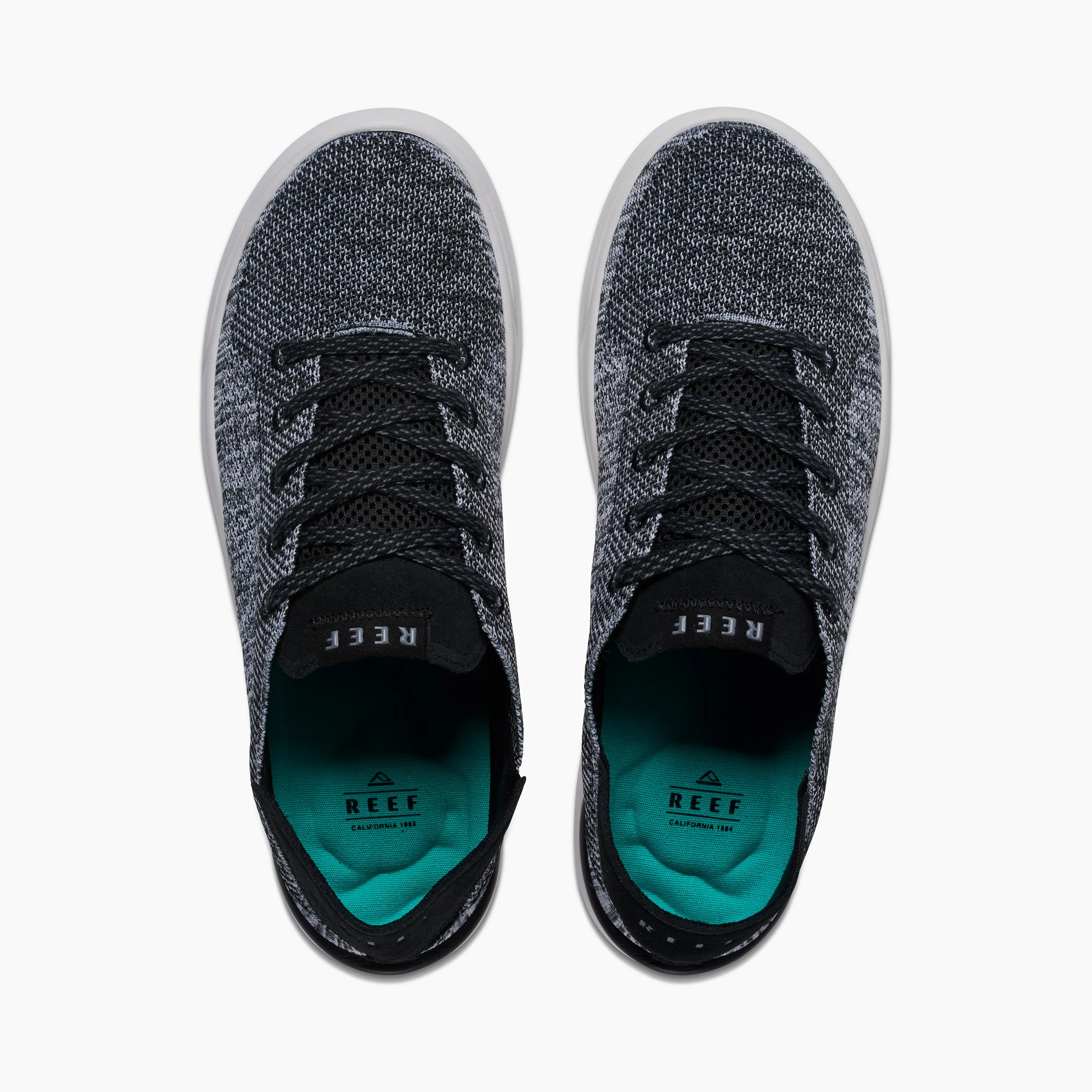 Swellsole Neptune sold by Reef Dynamic product image thumbnail 3