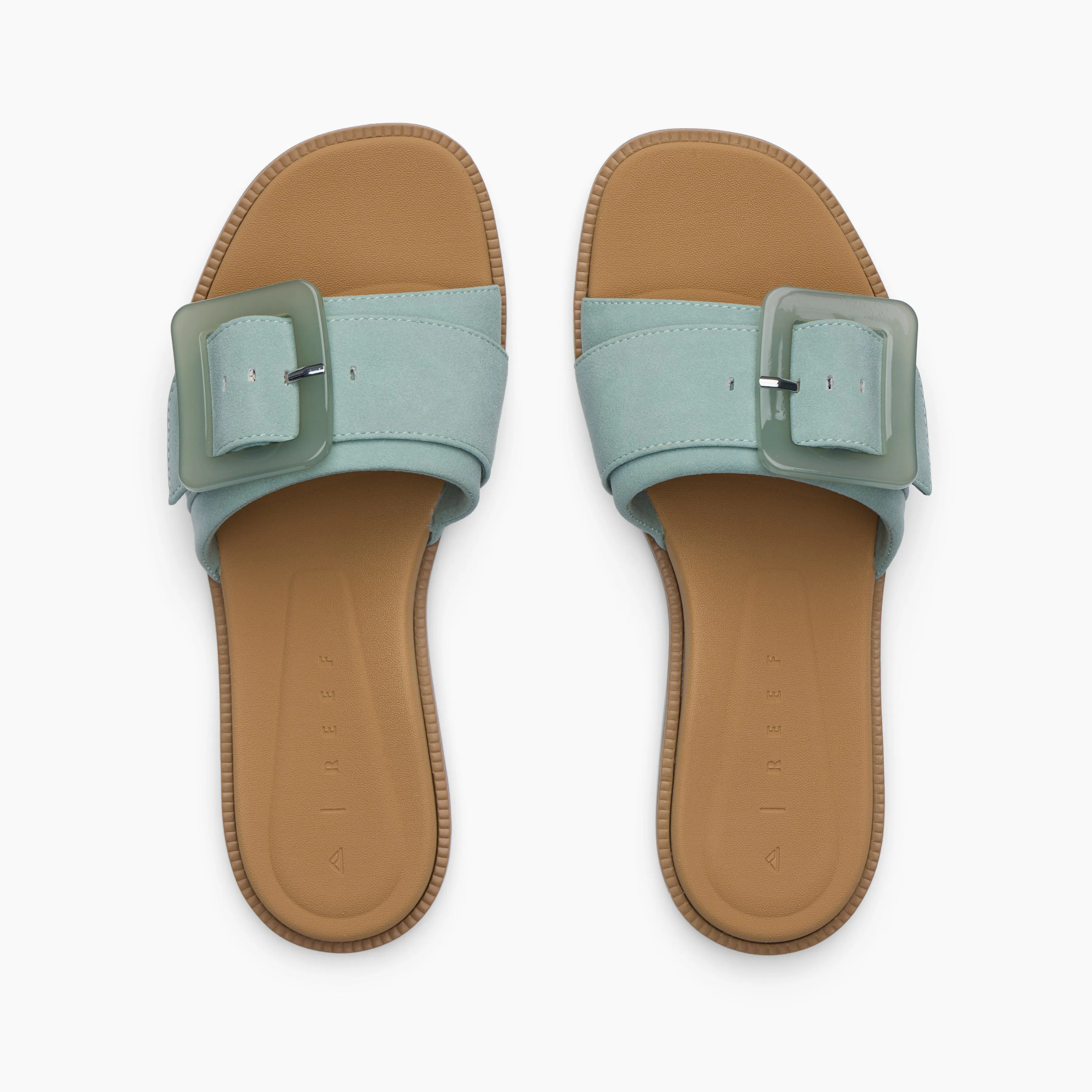 Sunny Emma sold by Reef Dynamic product image thumbnail 4