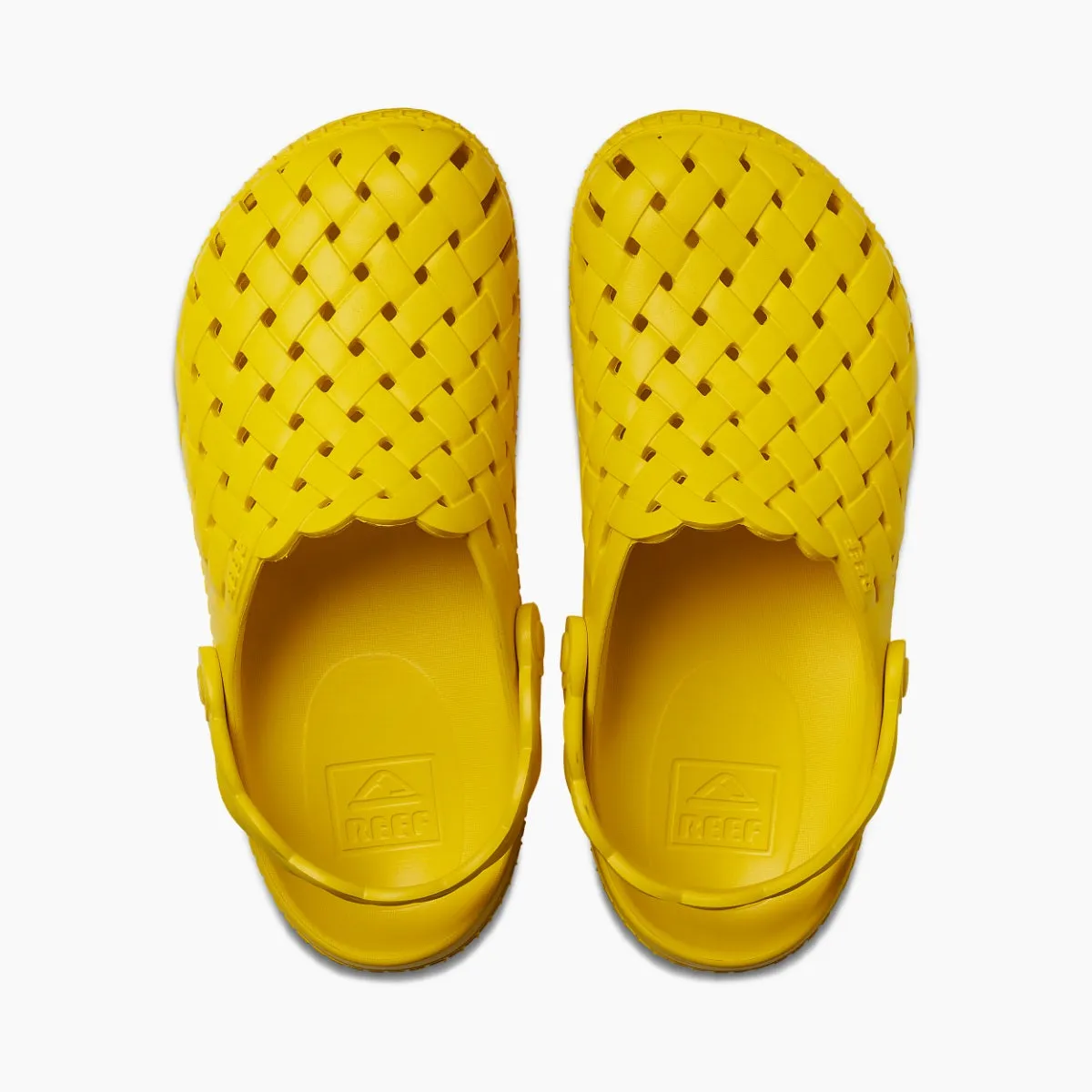 Water Sage sold by Reef Dynamic product image thumbnail 3