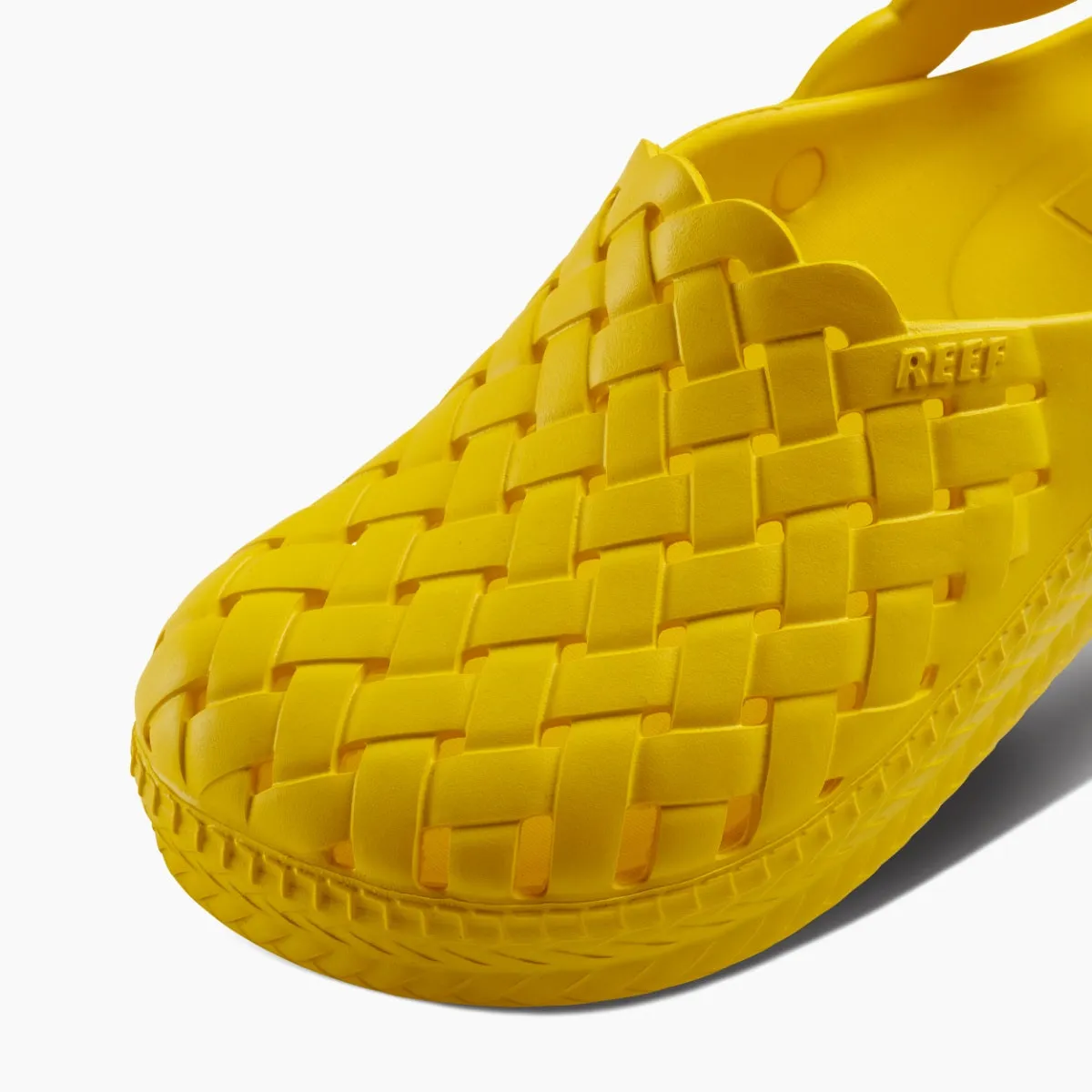 Water Sage sold by Reef Dynamic product image thumbnail 5