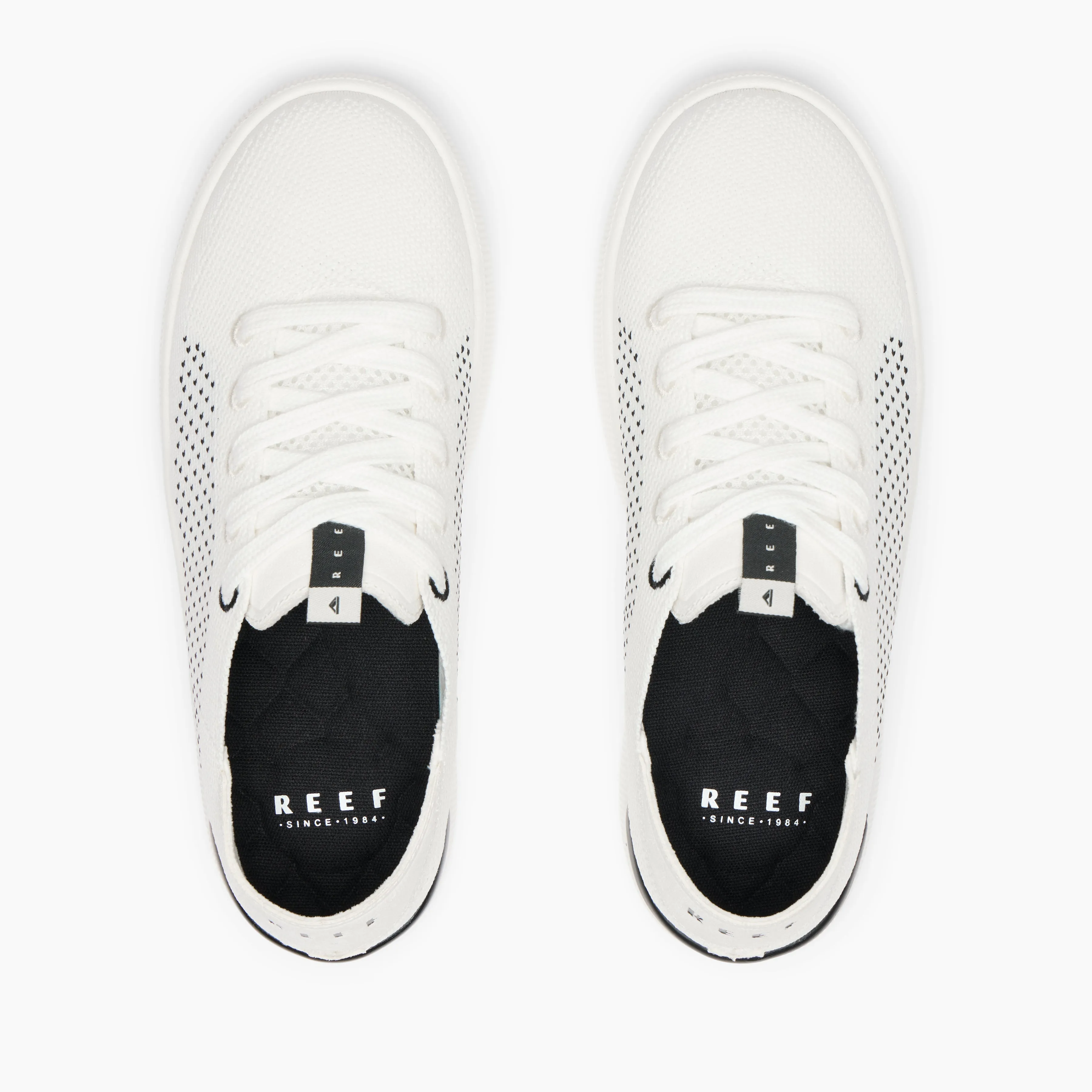 Reef Neptune sold by Reef Dynamic product image thumbnail 3