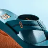 Cruiser sold by Reef Dynamic