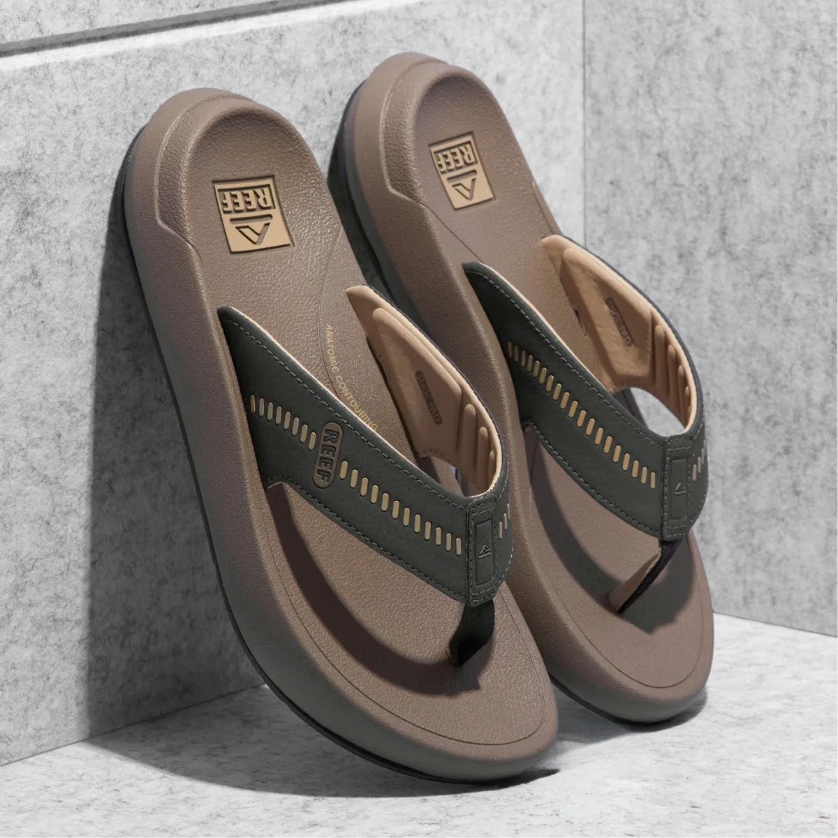 Cruiser sold by Reef Dynamic product image thumbnail 2