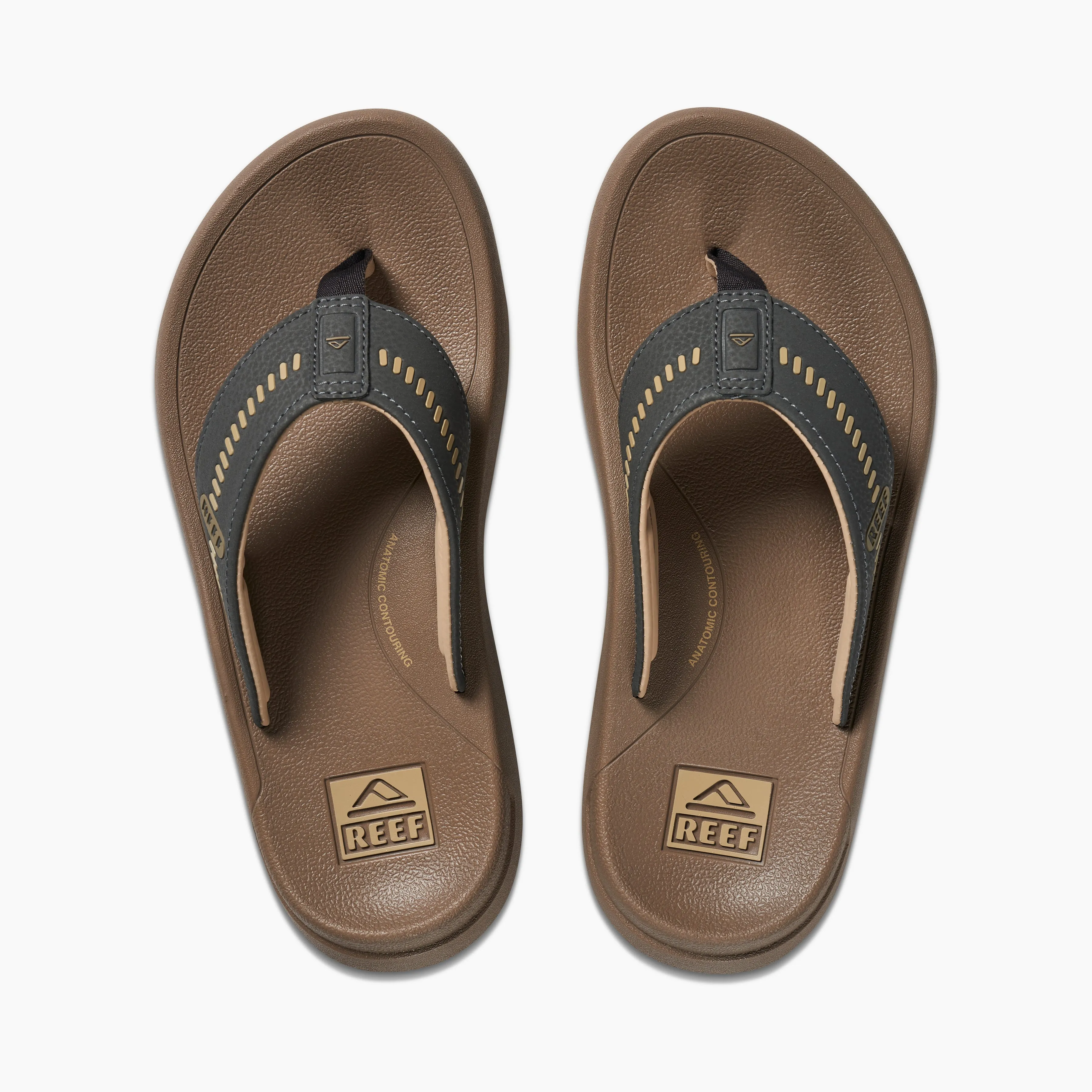 Cruiser sold by Reef Dynamic product image thumbnail 5