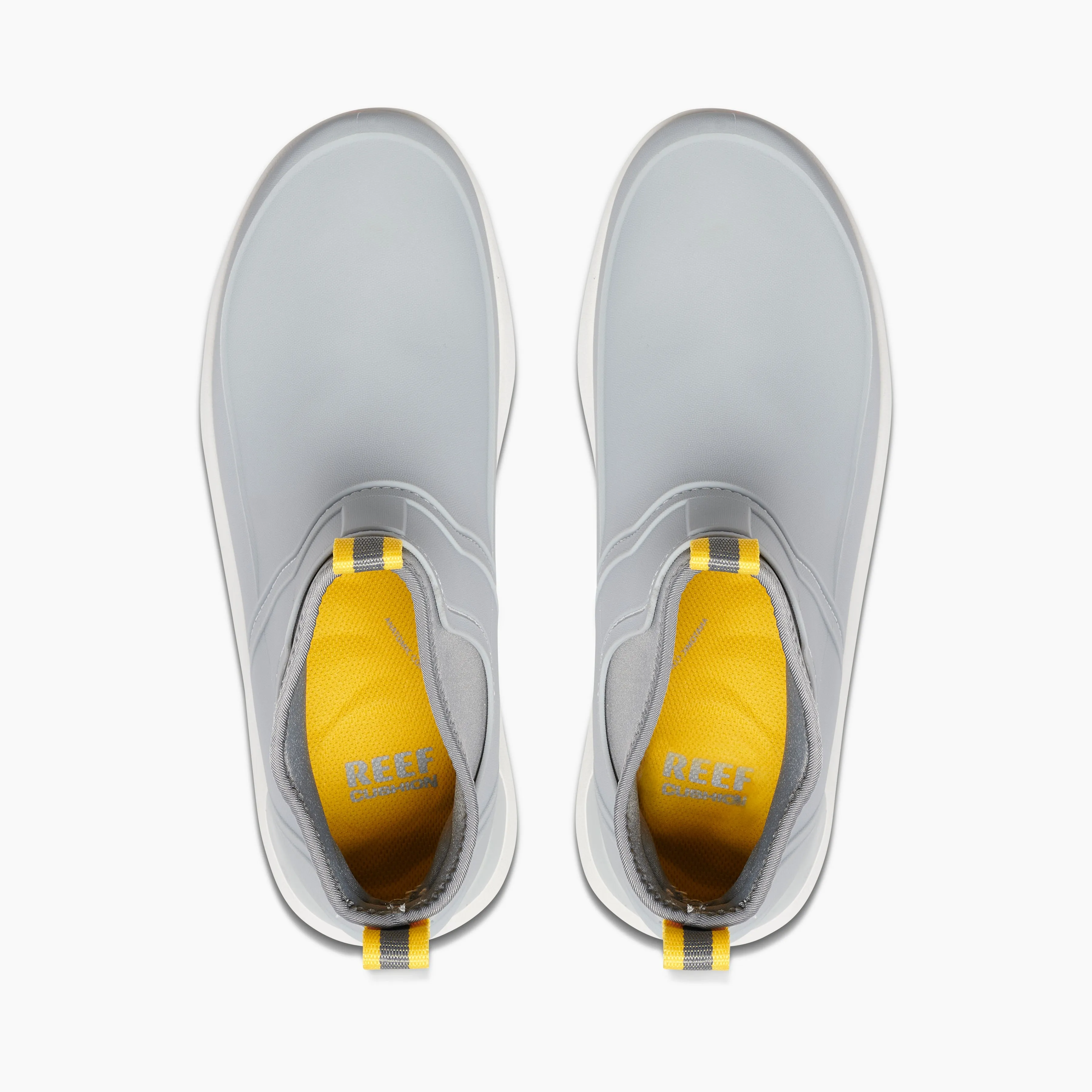 Scallywag sold by Reef Dynamic product image thumbnail 5