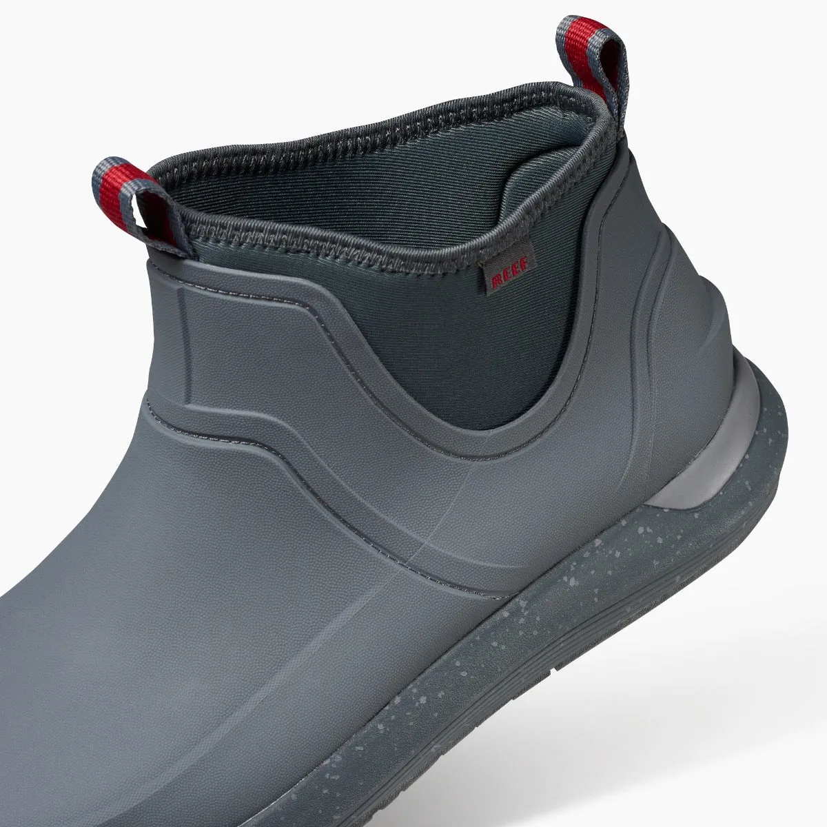 Scallywag sold by Reef Dynamic product image thumbnail 3