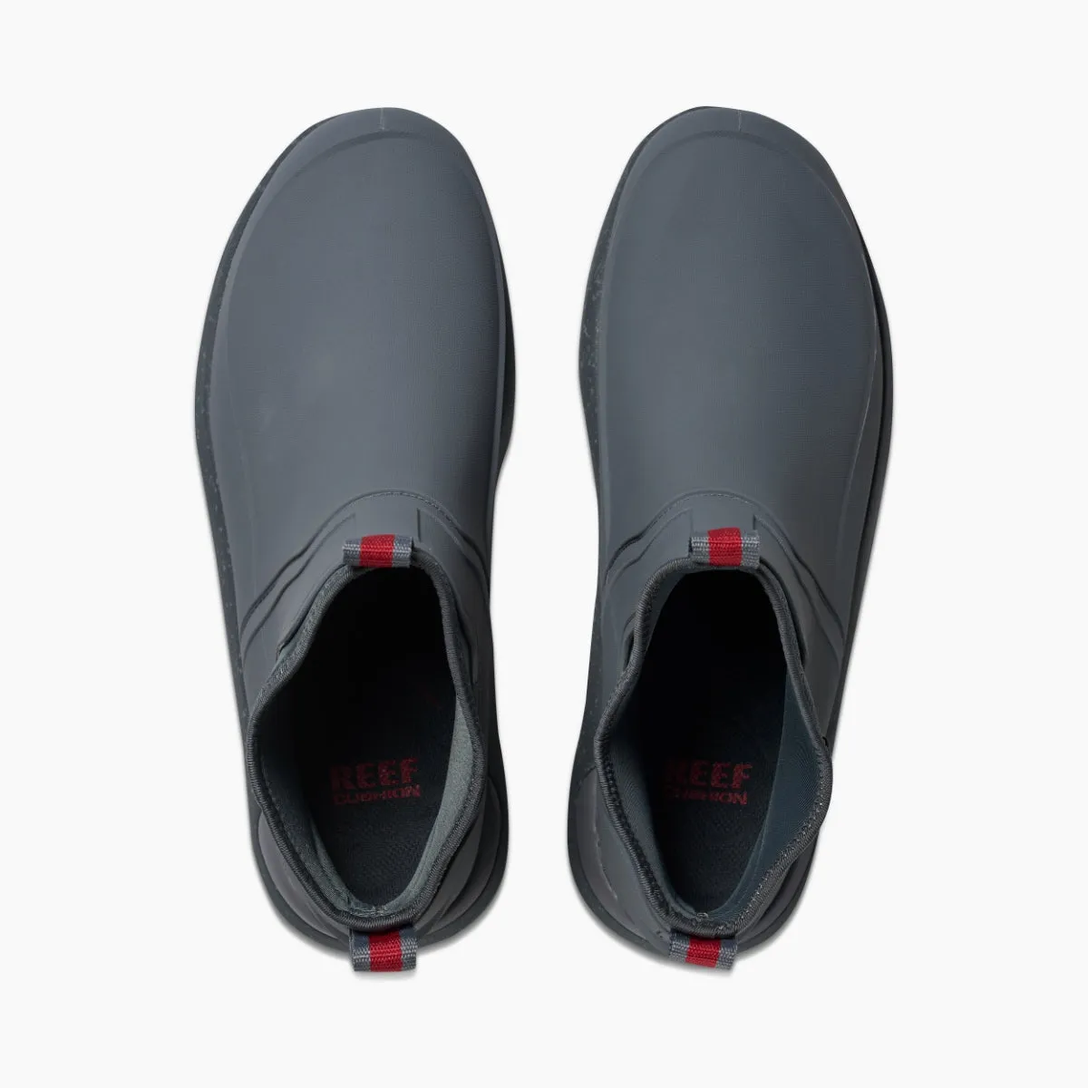 Scallywag sold by Reef Dynamic product image thumbnail 4