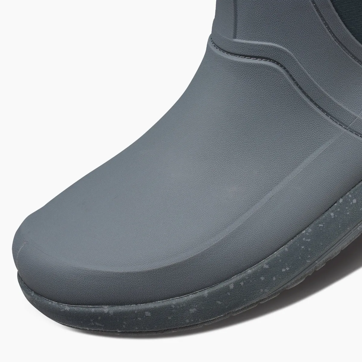 Scallywag sold by Reef Dynamic product image thumbnail 5