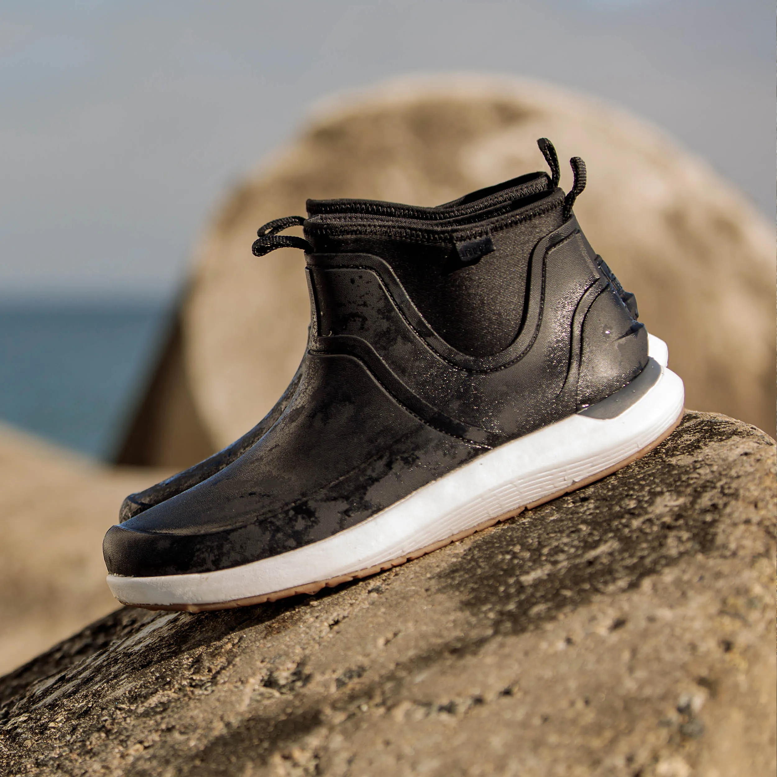 Scallywag sold by Reef Dynamic product image thumbnail 5