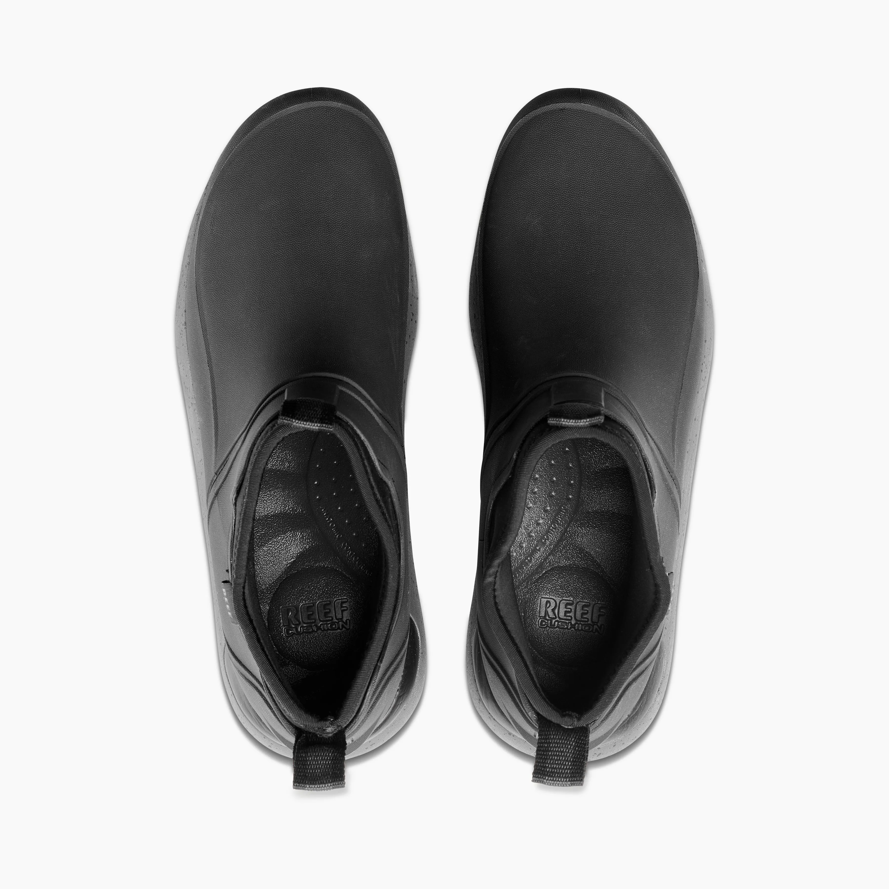 Scallywag sold by Reef Dynamic product image thumbnail 3