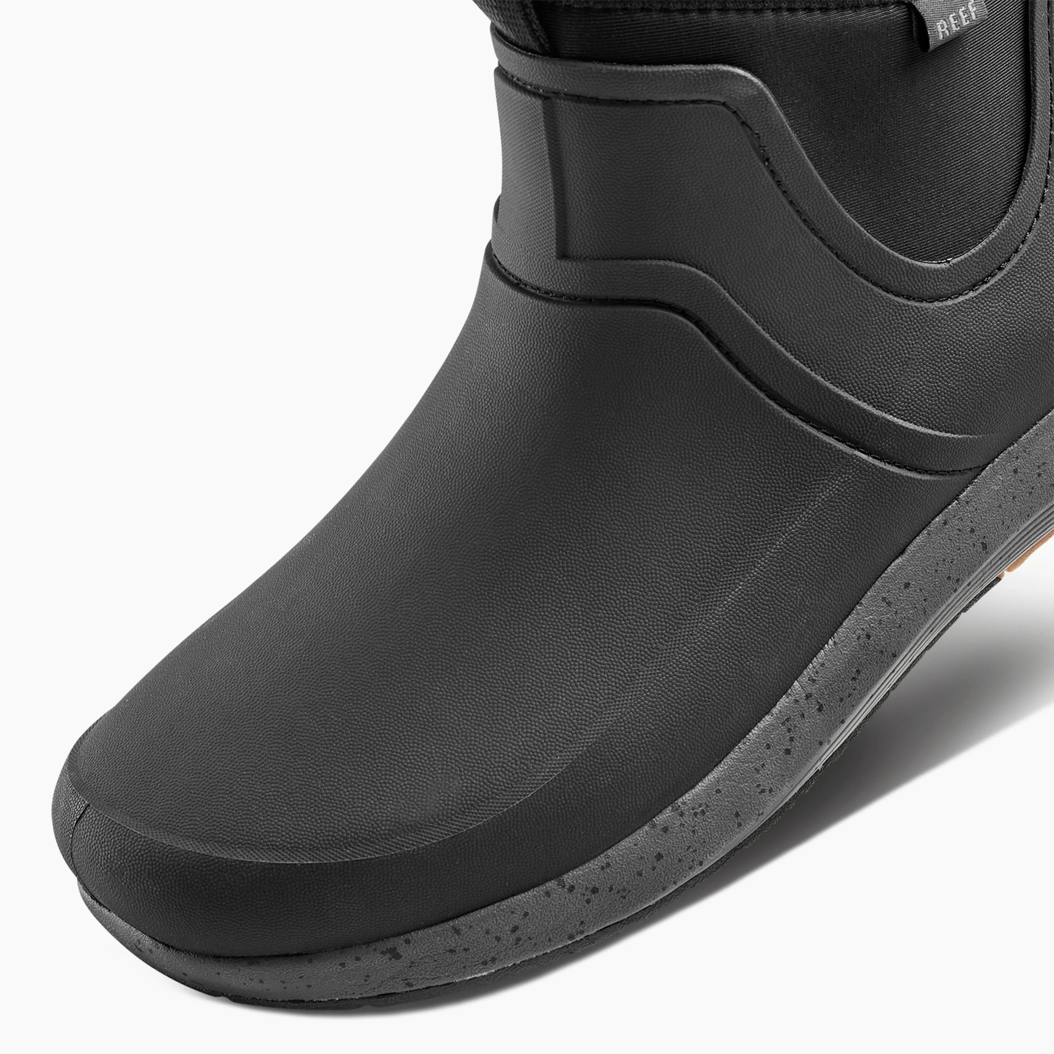 Scallywag sold by Reef Dynamic product image thumbnail 5