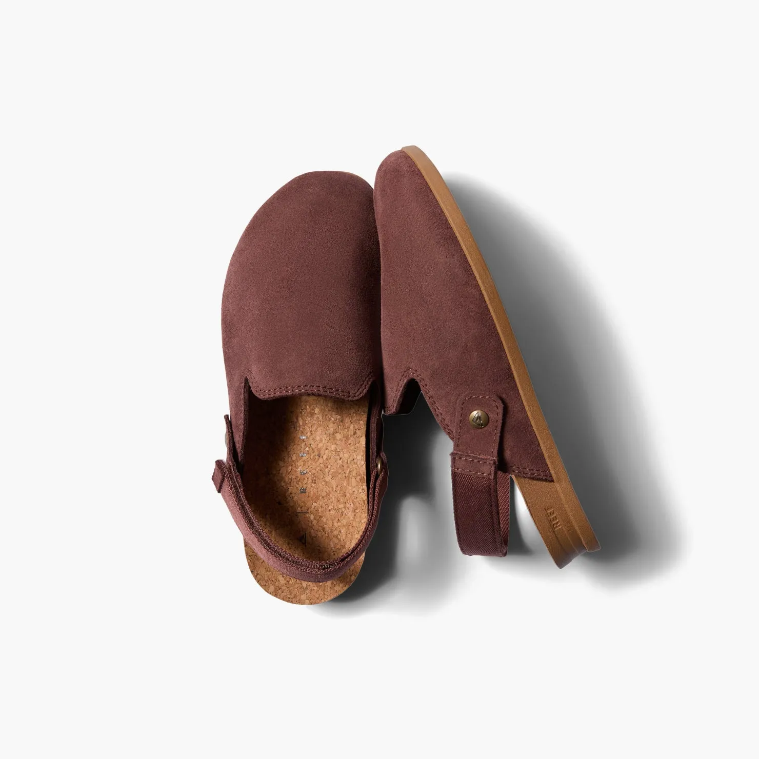 Vista Hatha sold by Reef Dynamic product image thumbnail 2