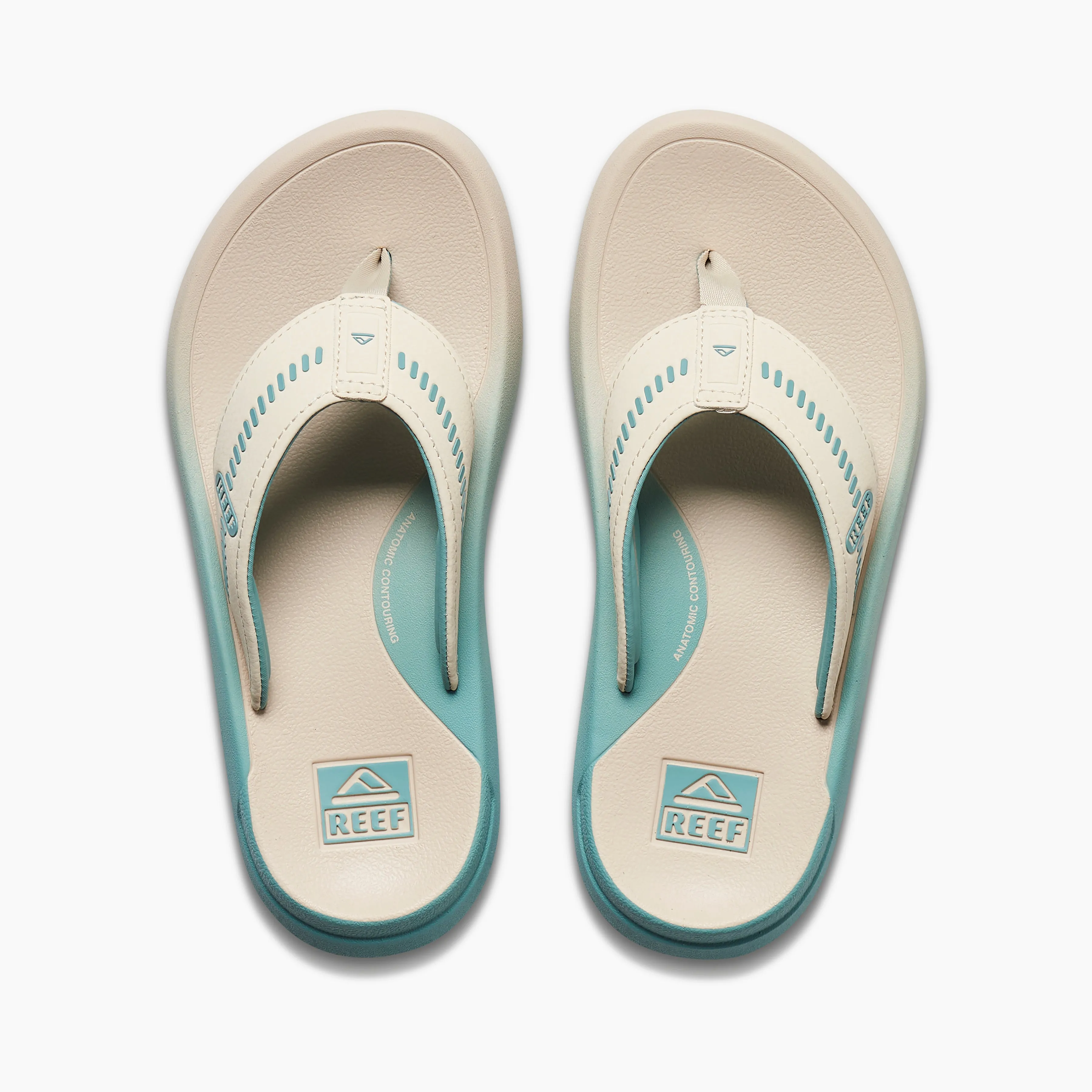 Cruiser sold by Reef Dynamic product image thumbnail 3