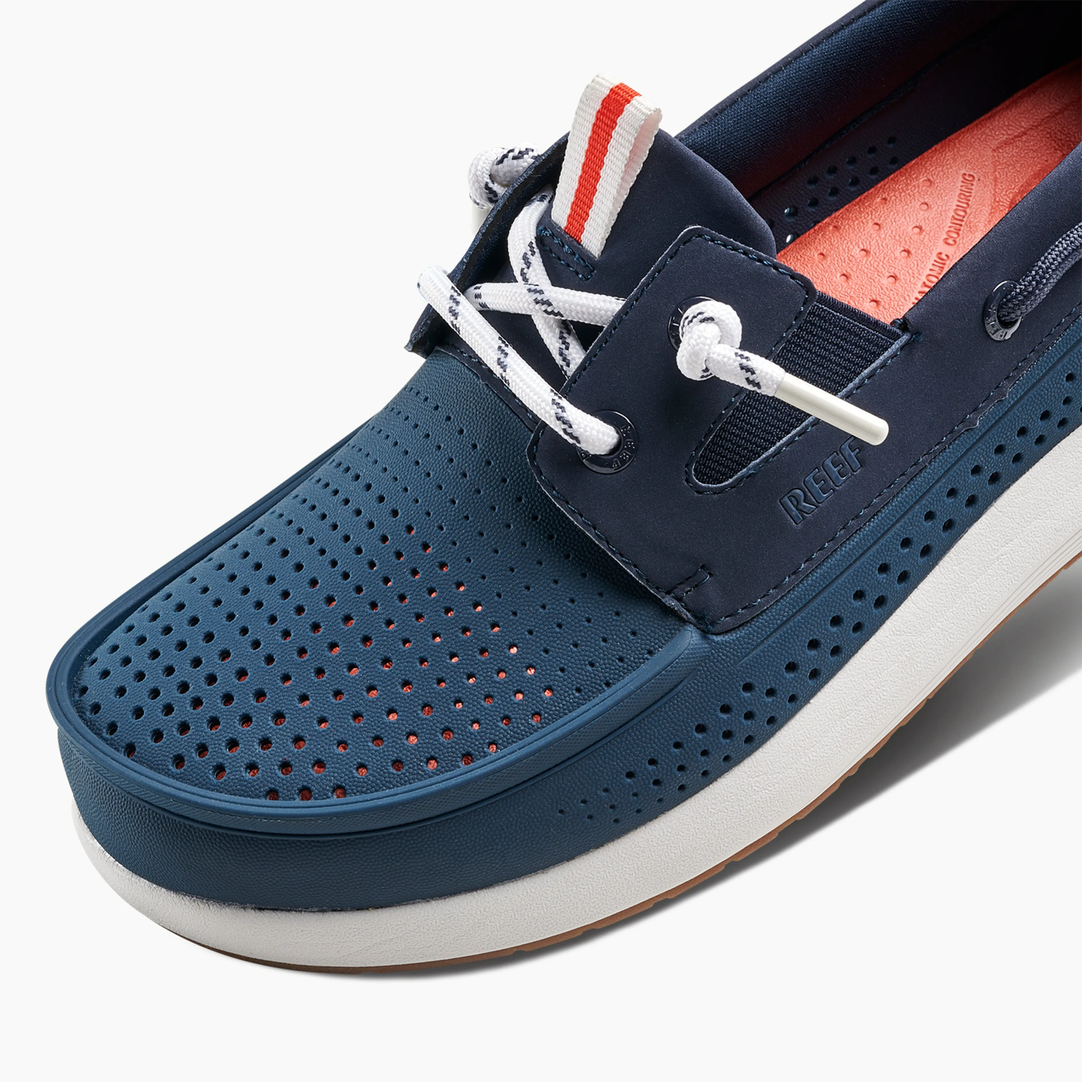 Skipper sold by Reef Dynamic product image thumbnail 5